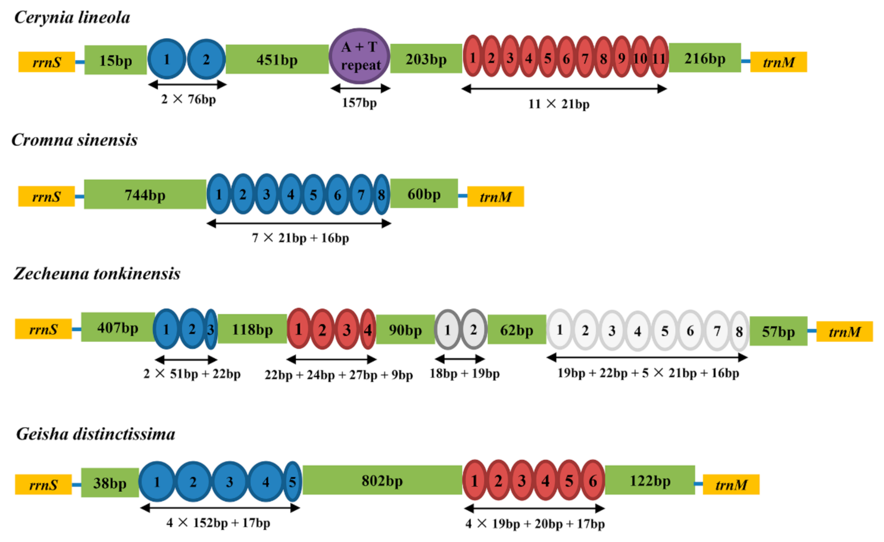 Ijms 22 05586 g003 Ijms 22 05586 g003