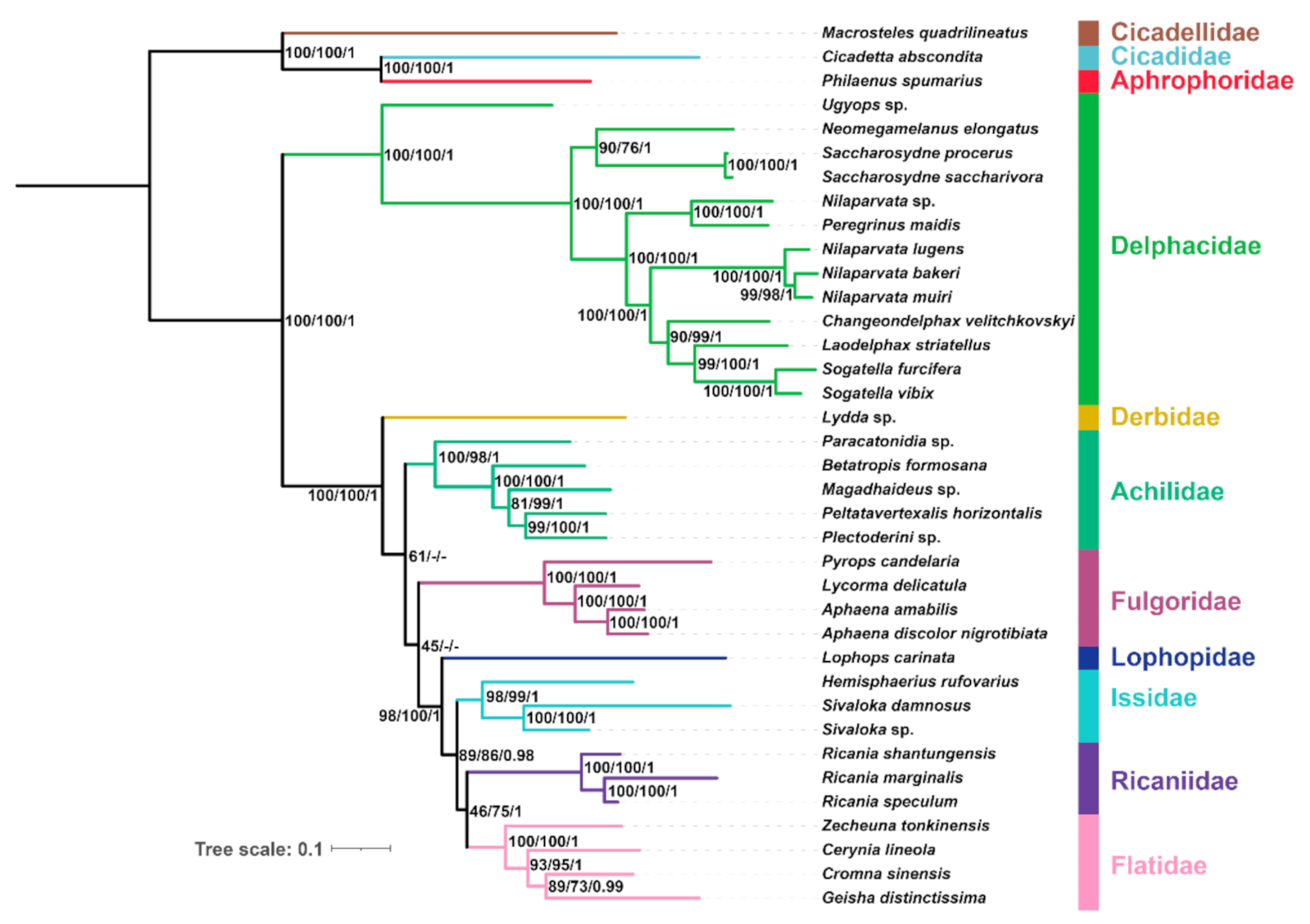 Ijms 22 05586 g006 Ijms 22 05586 g006