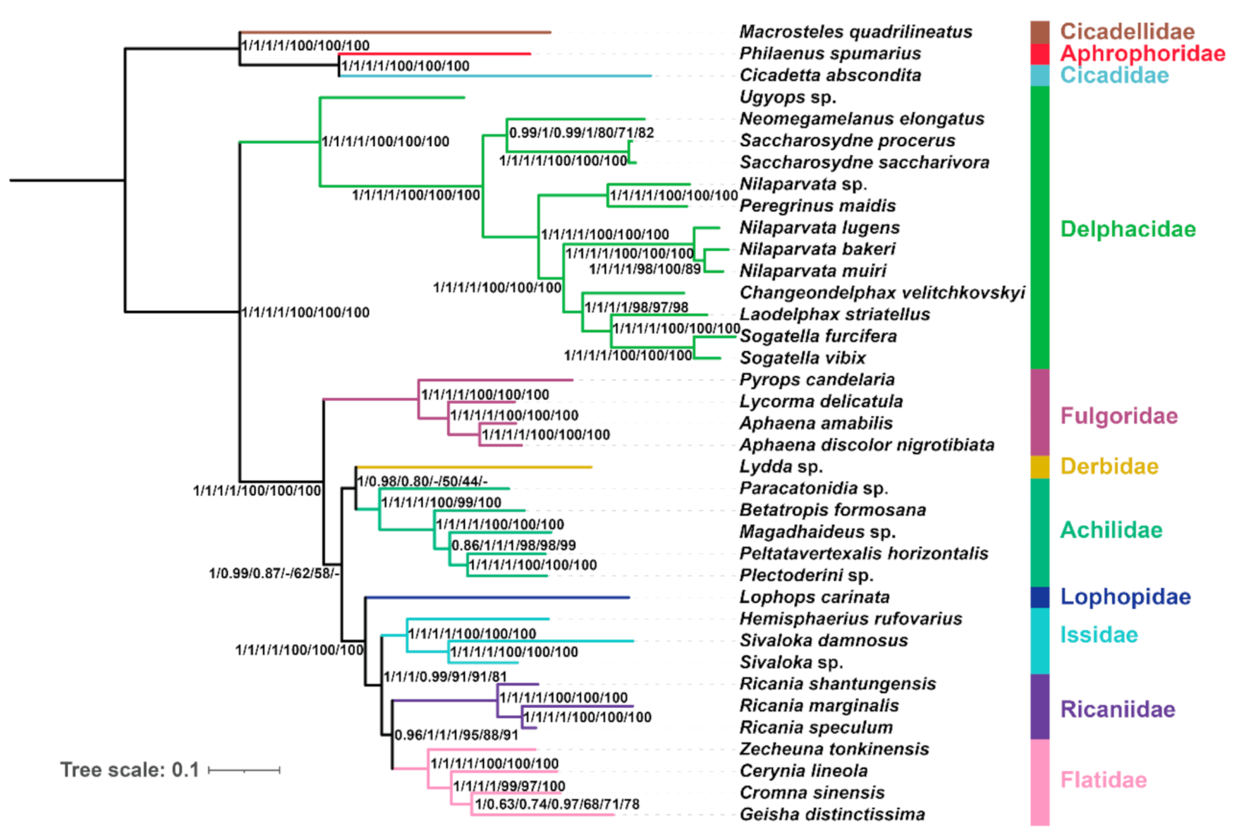 Ijms 22 05586 g007 Ijms 22 05586 g007
