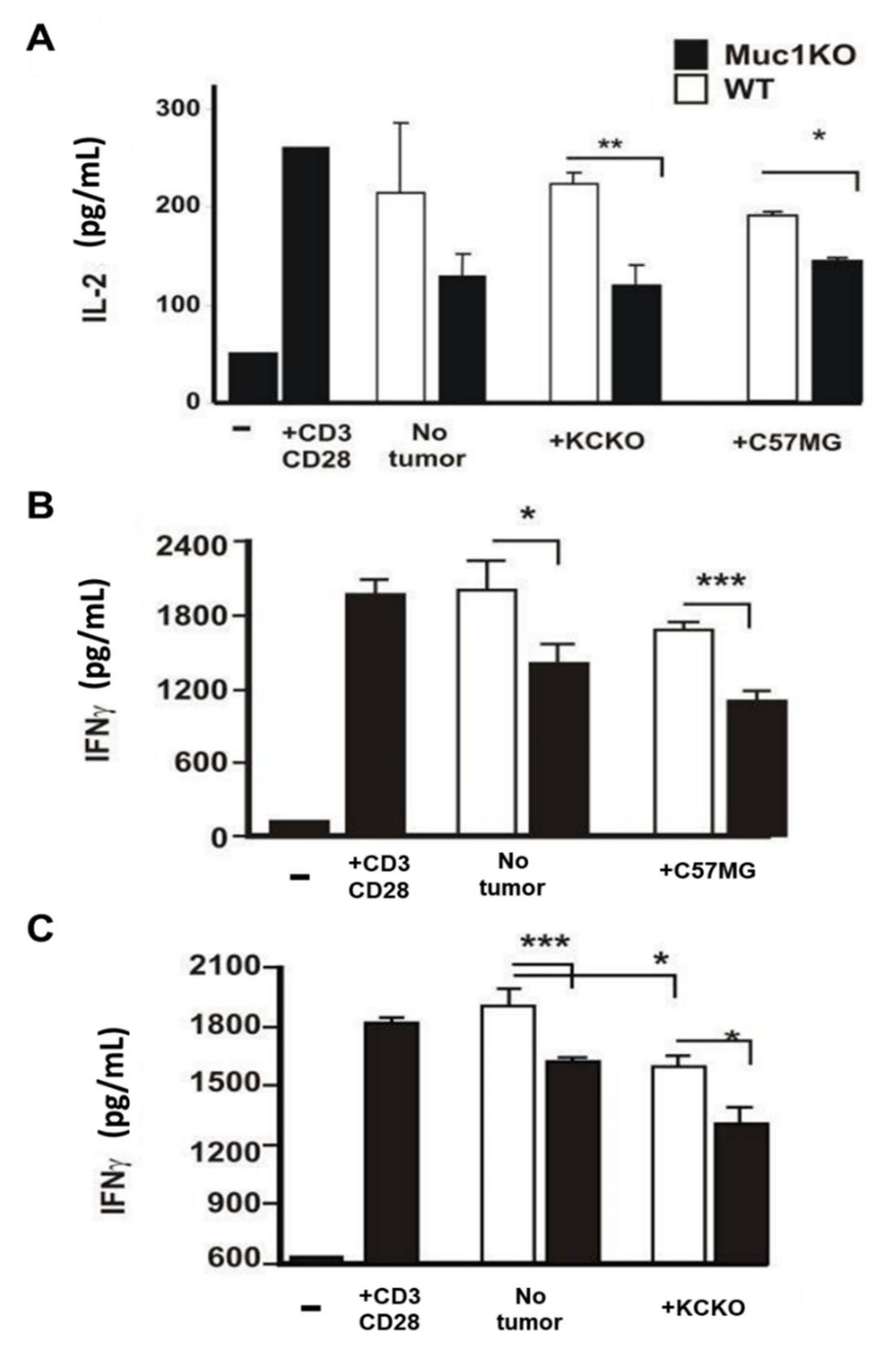Ijms 22 05587 g004 Ijms 22 05587 g004