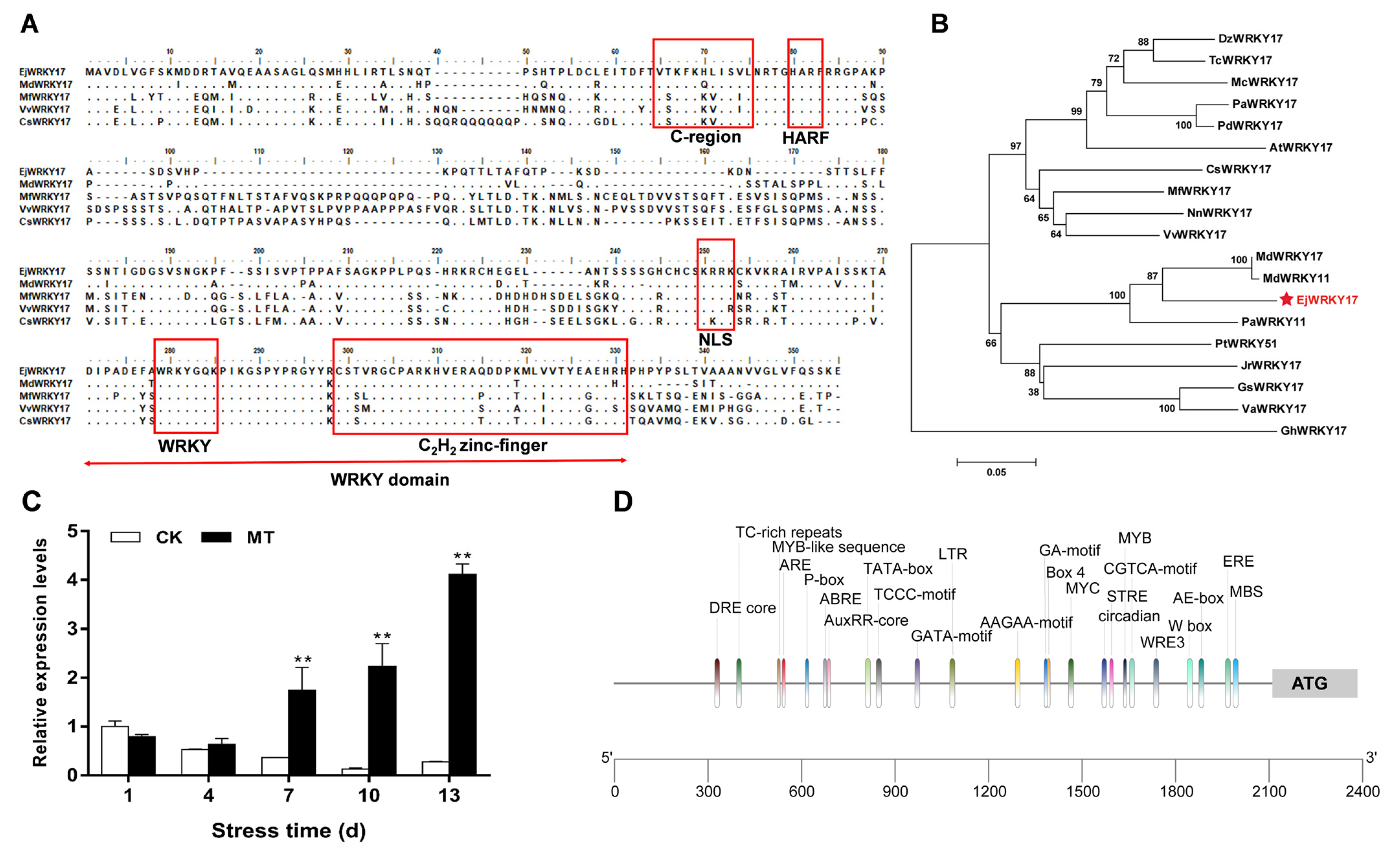Ijms 22 05593 g001 Ijms 22 05593 g001