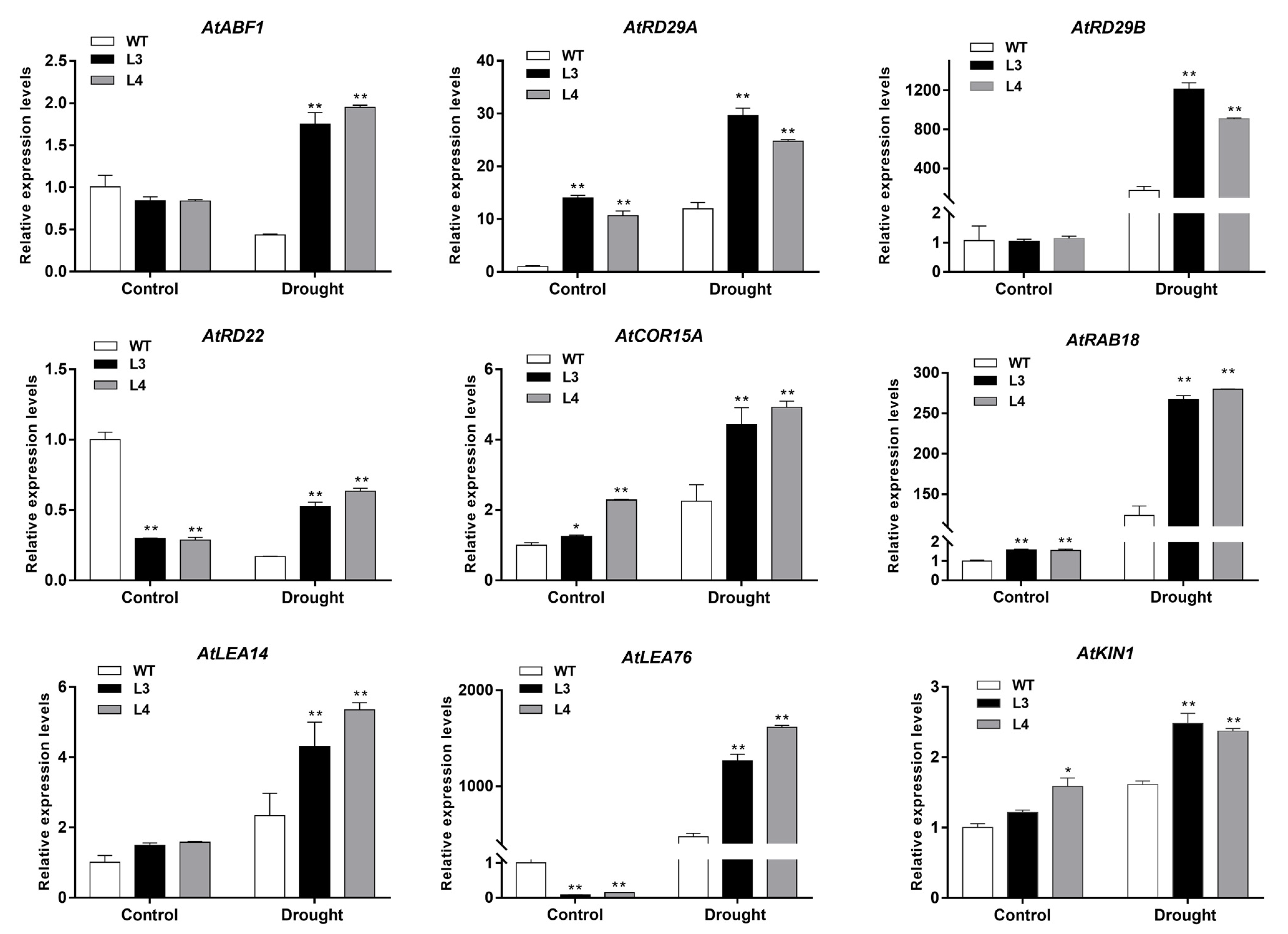 Ijms 22 05593 g009 Ijms 22 05593 g009
