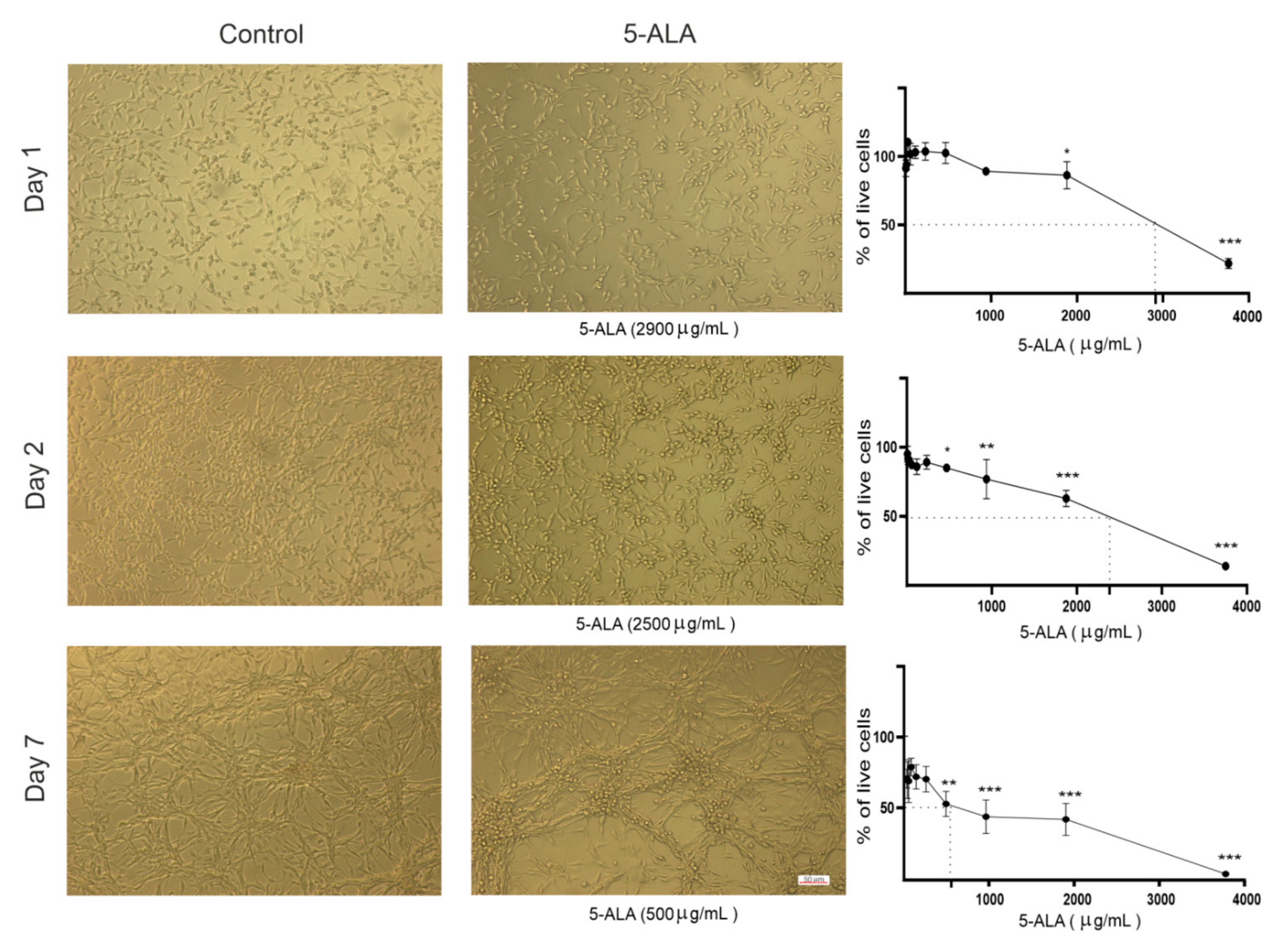 Ijms 22 05596 g001 Ijms 22 05596 g001