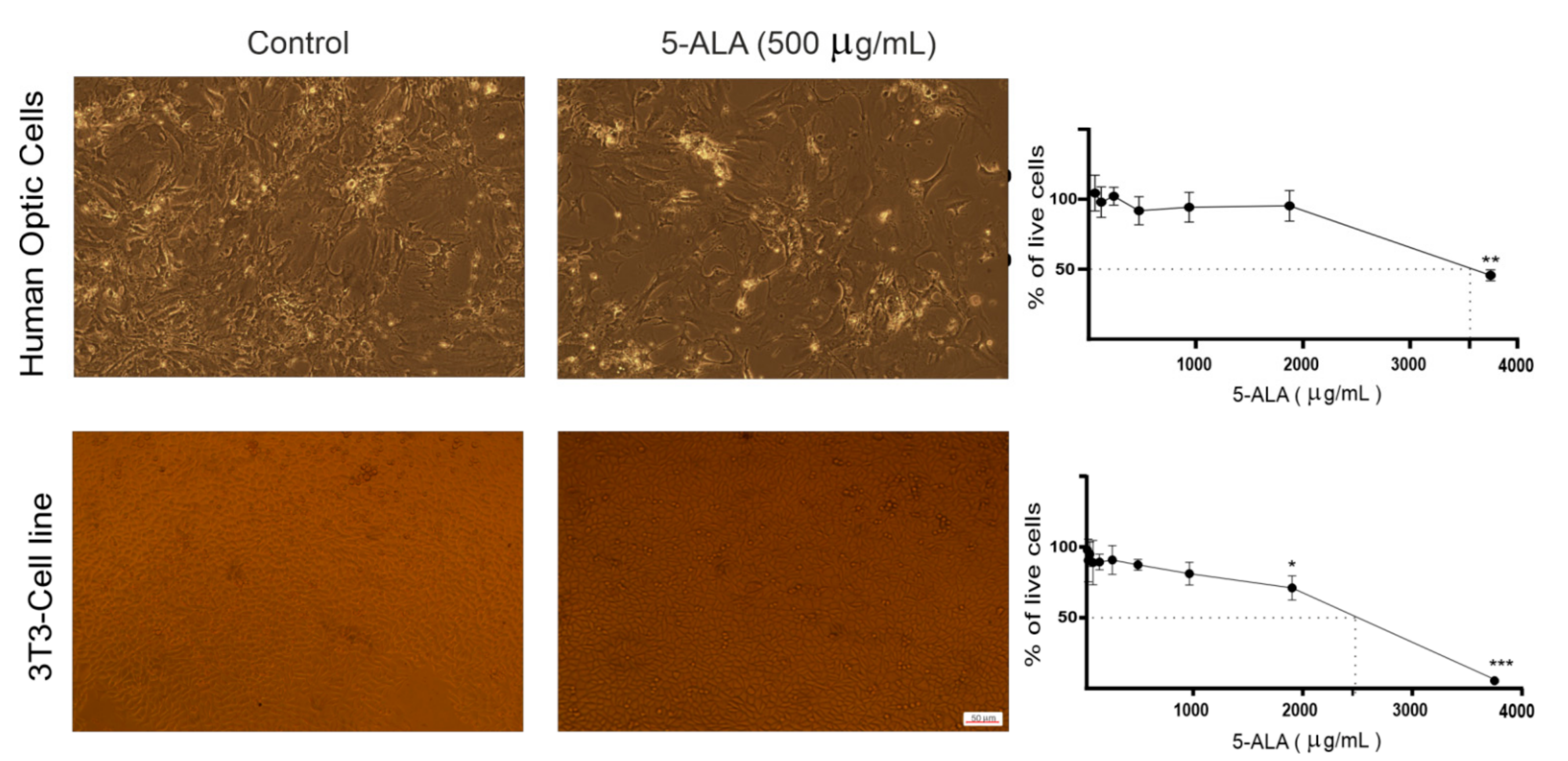 Ijms 22 05596 g002 Ijms 22 05596 g002