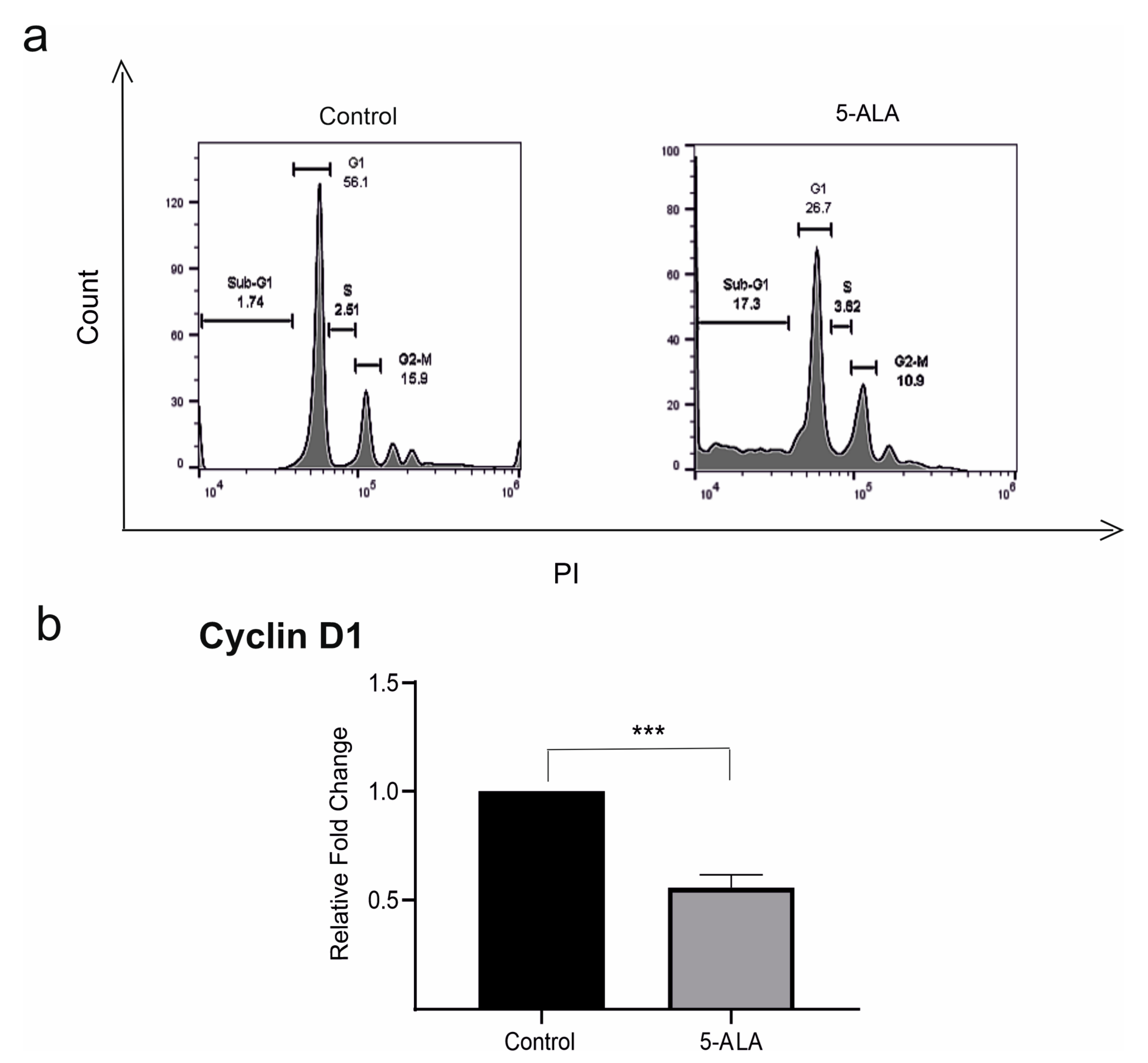 Ijms 22 05596 g003 Ijms 22 05596 g003