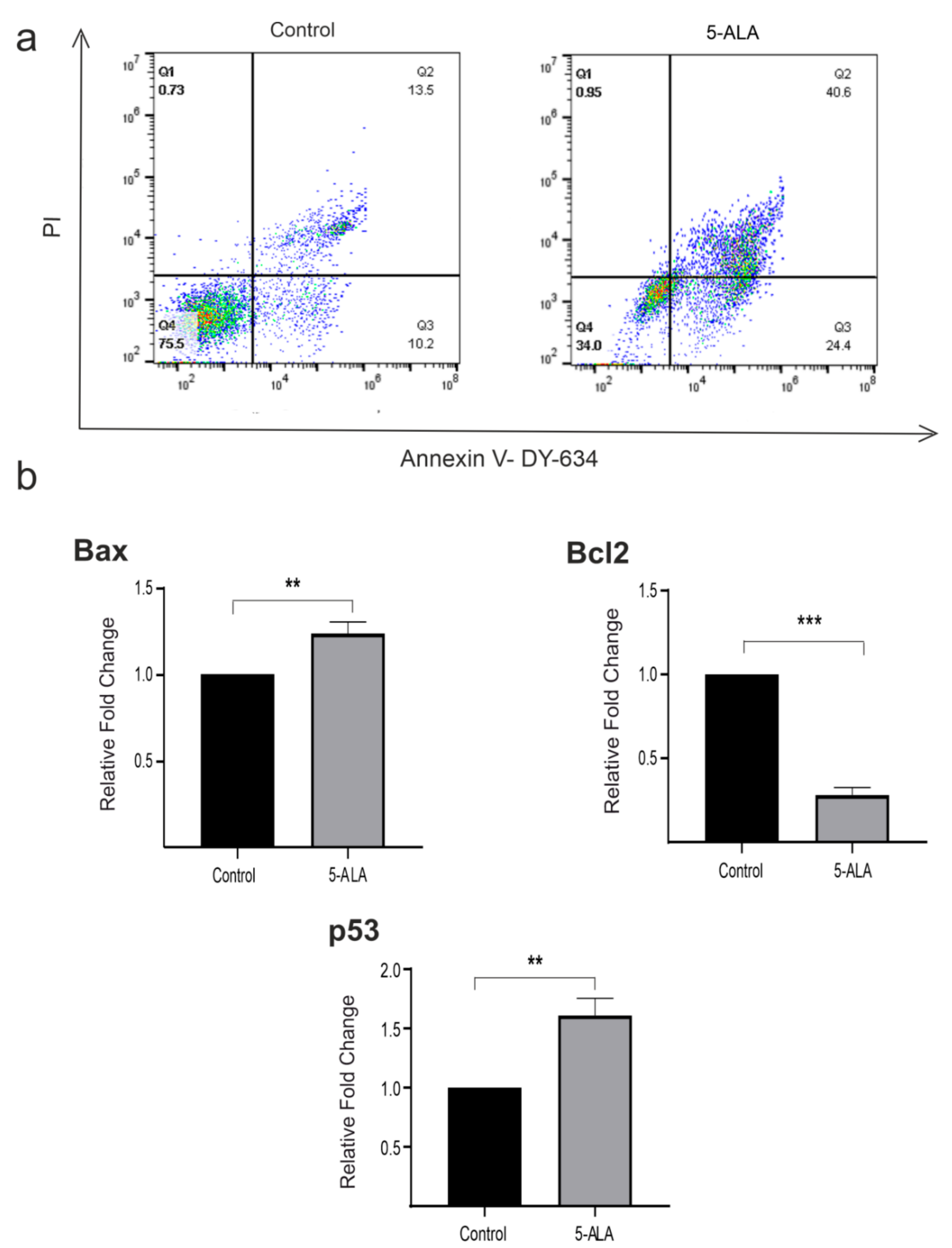 Ijms 22 05596 g004 Ijms 22 05596 g004