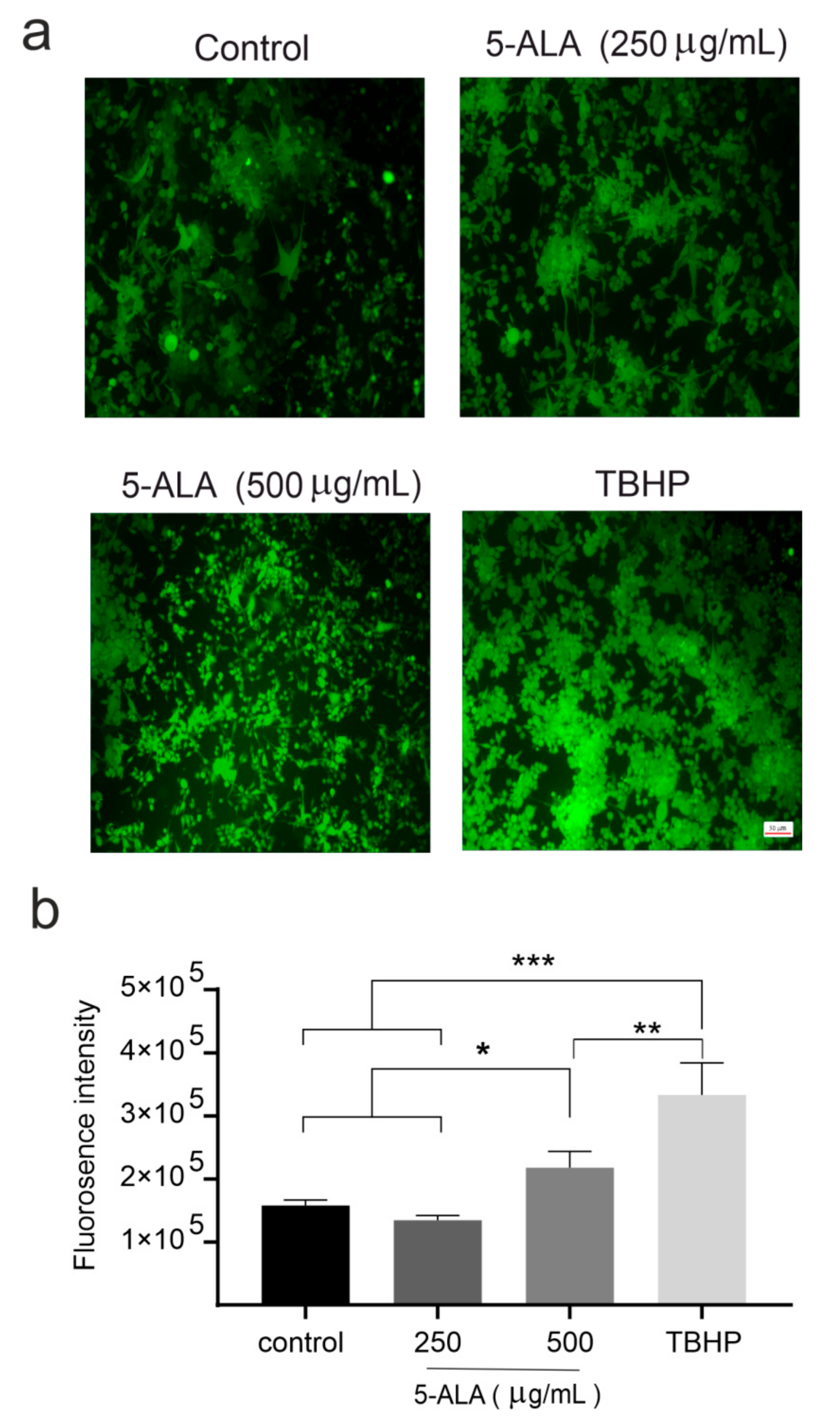 Ijms 22 05596 g005 Ijms 22 05596 g005