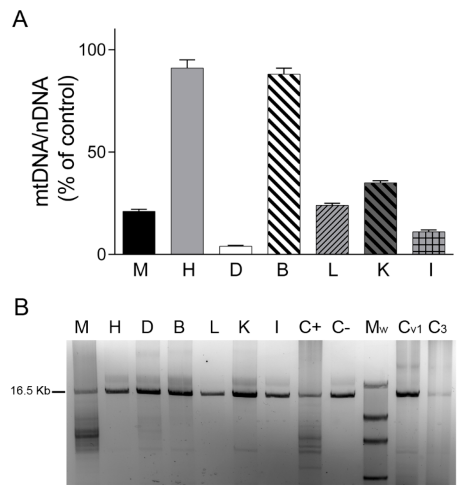Ijms 22 05598 g001 Ijms 22 05598 g001