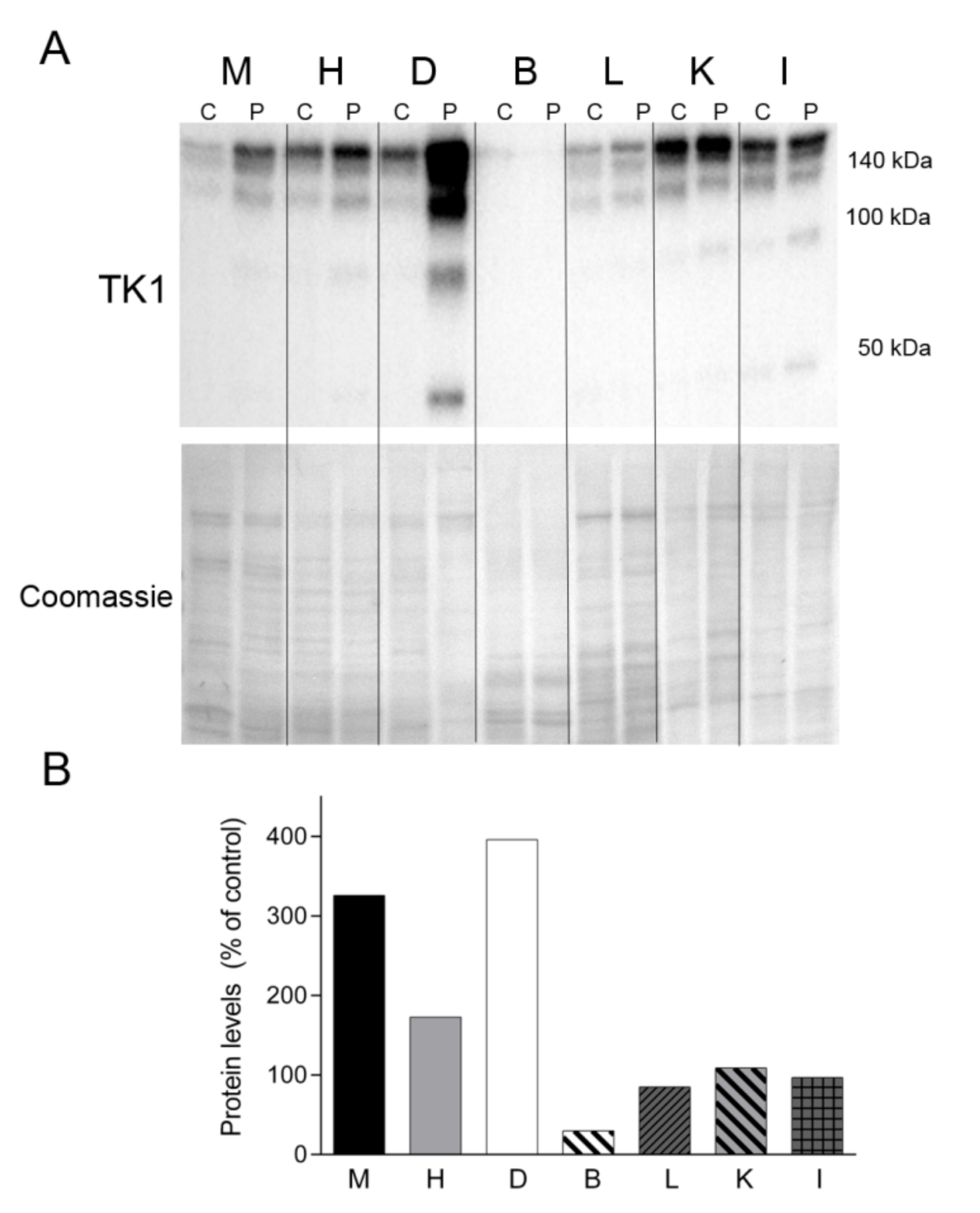 Ijms 22 05598 g008 Ijms 22 05598 g008