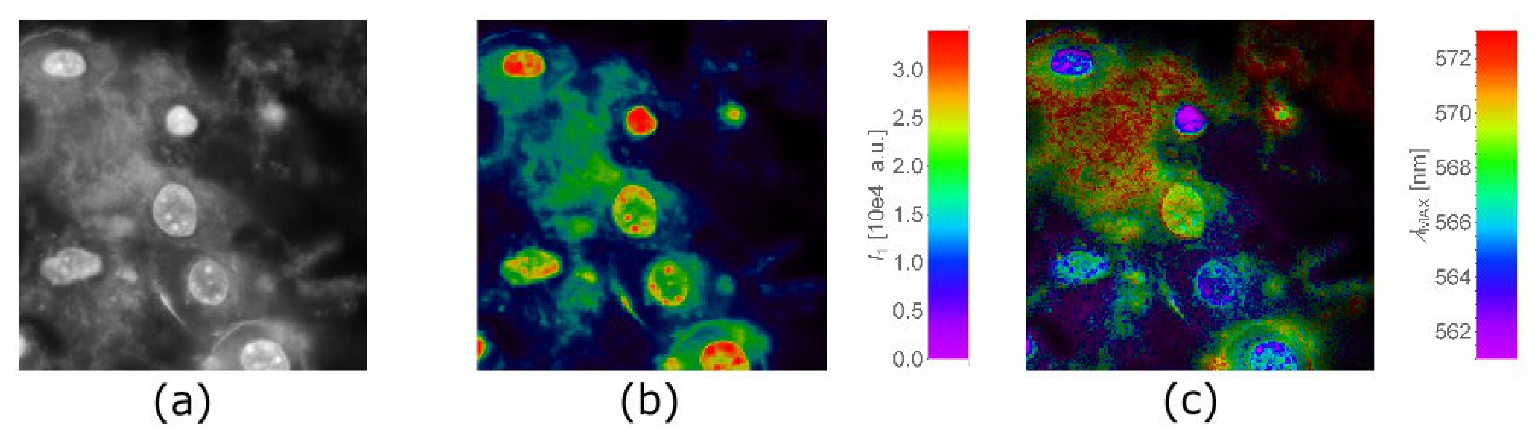 Ijms 22 05608 g003 Ijms 22 05608 g003