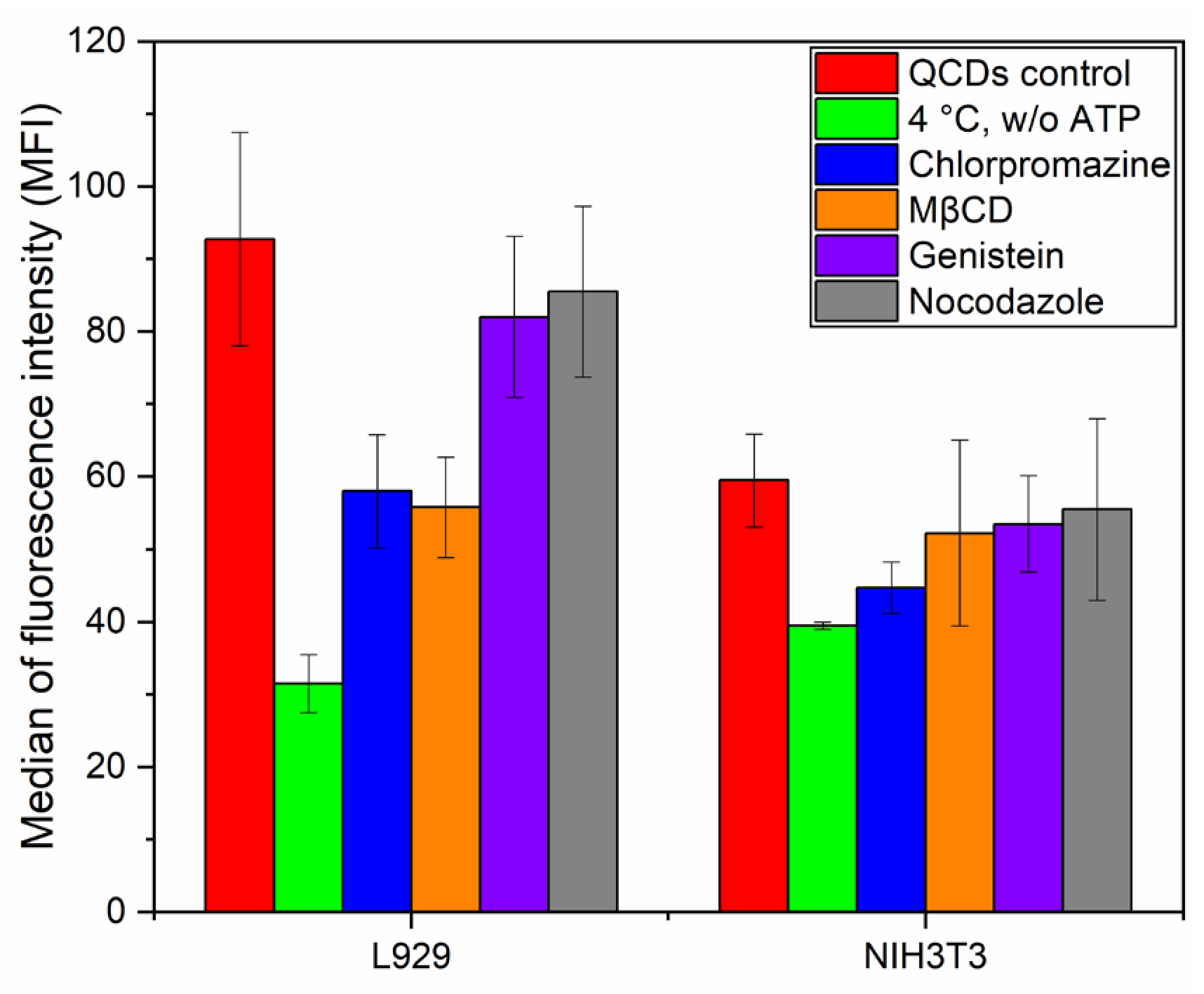 Ijms 22 05608 g008 Ijms 22 05608 g008