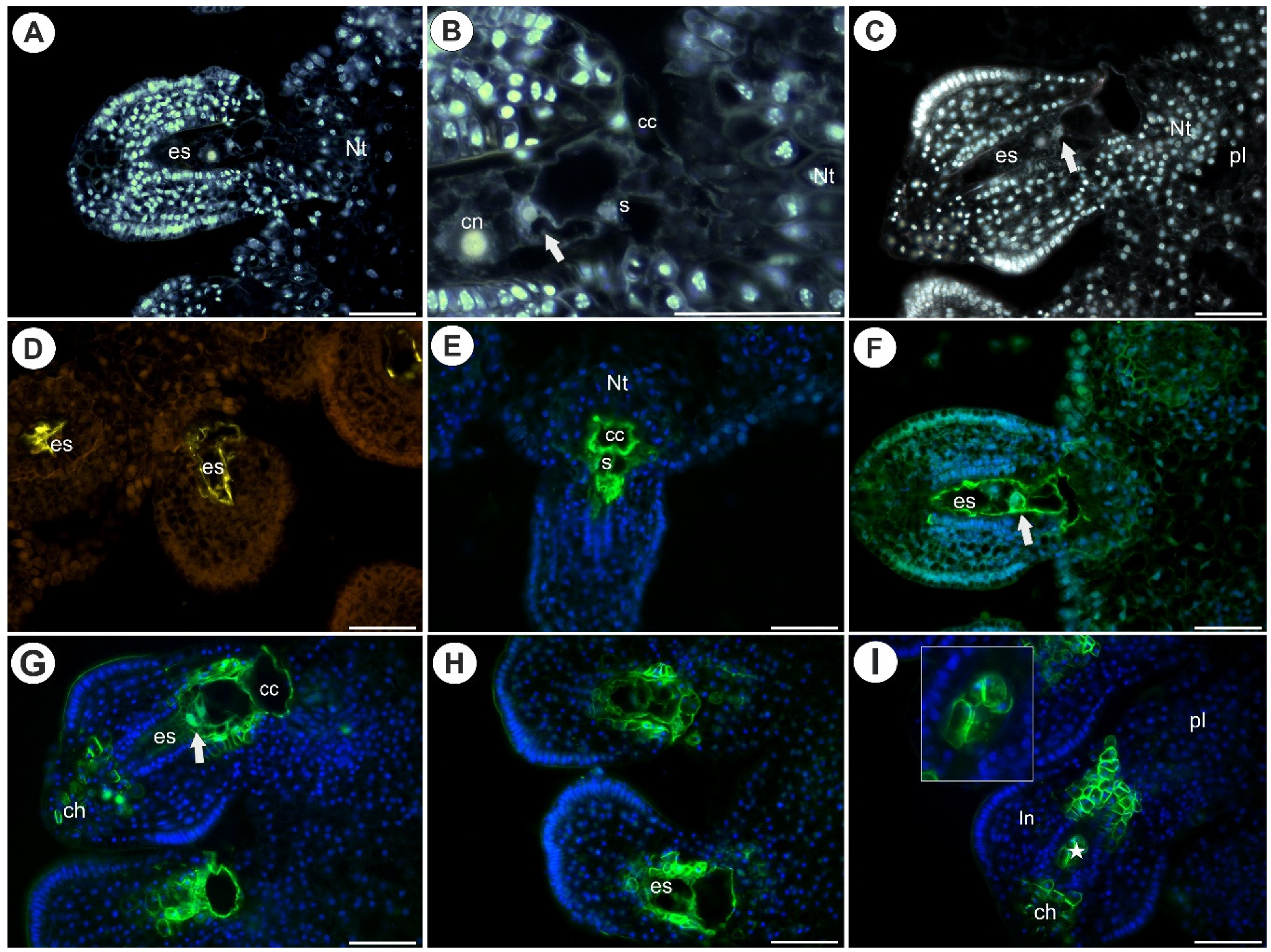 Ijms 22 05622 g002 Ijms 22 05622 g002