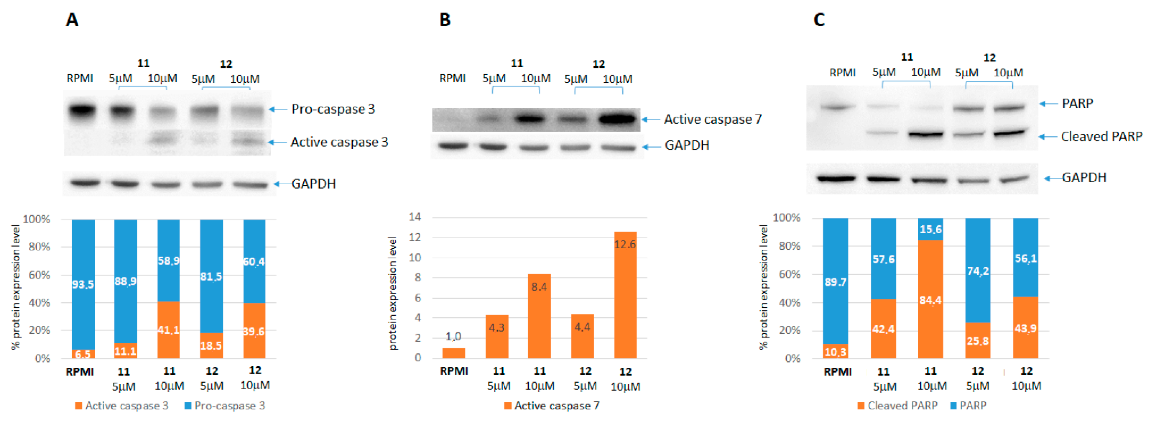 Ijms 22 05636 g006 Ijms 22 05636 g006