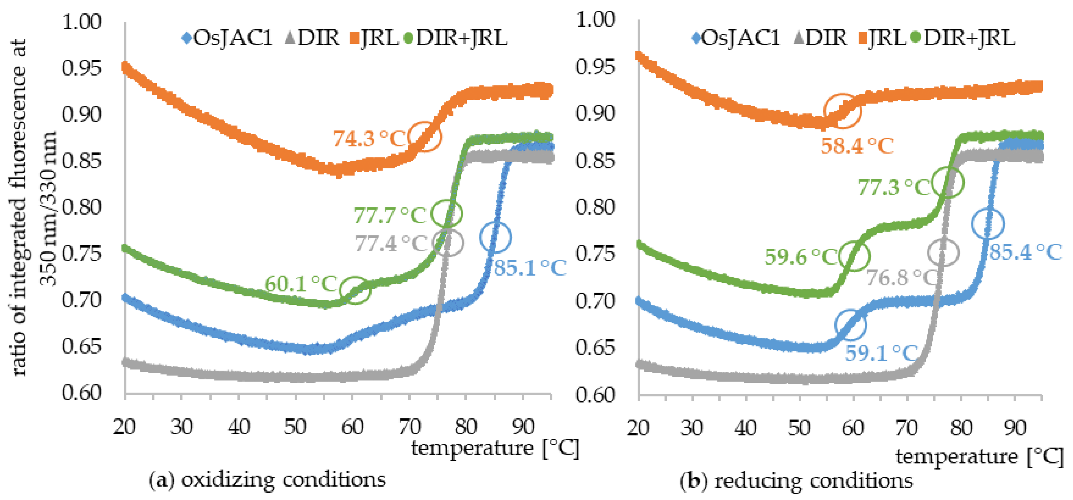 Ijms 22 05639 g004 Ijms 22 05639 g004