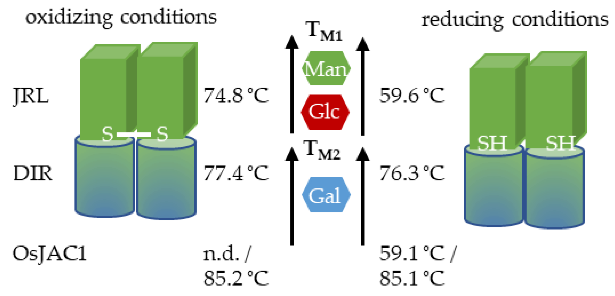 Ijms 22 05639 g008 Ijms 22 05639 g008