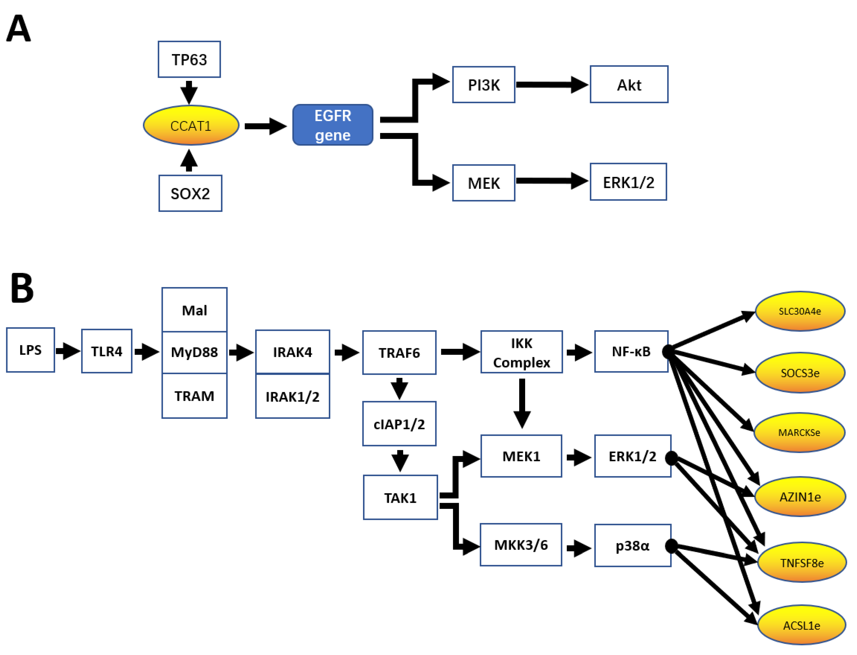 Ijms 22 05640 g002 Ijms 22 05640 g002