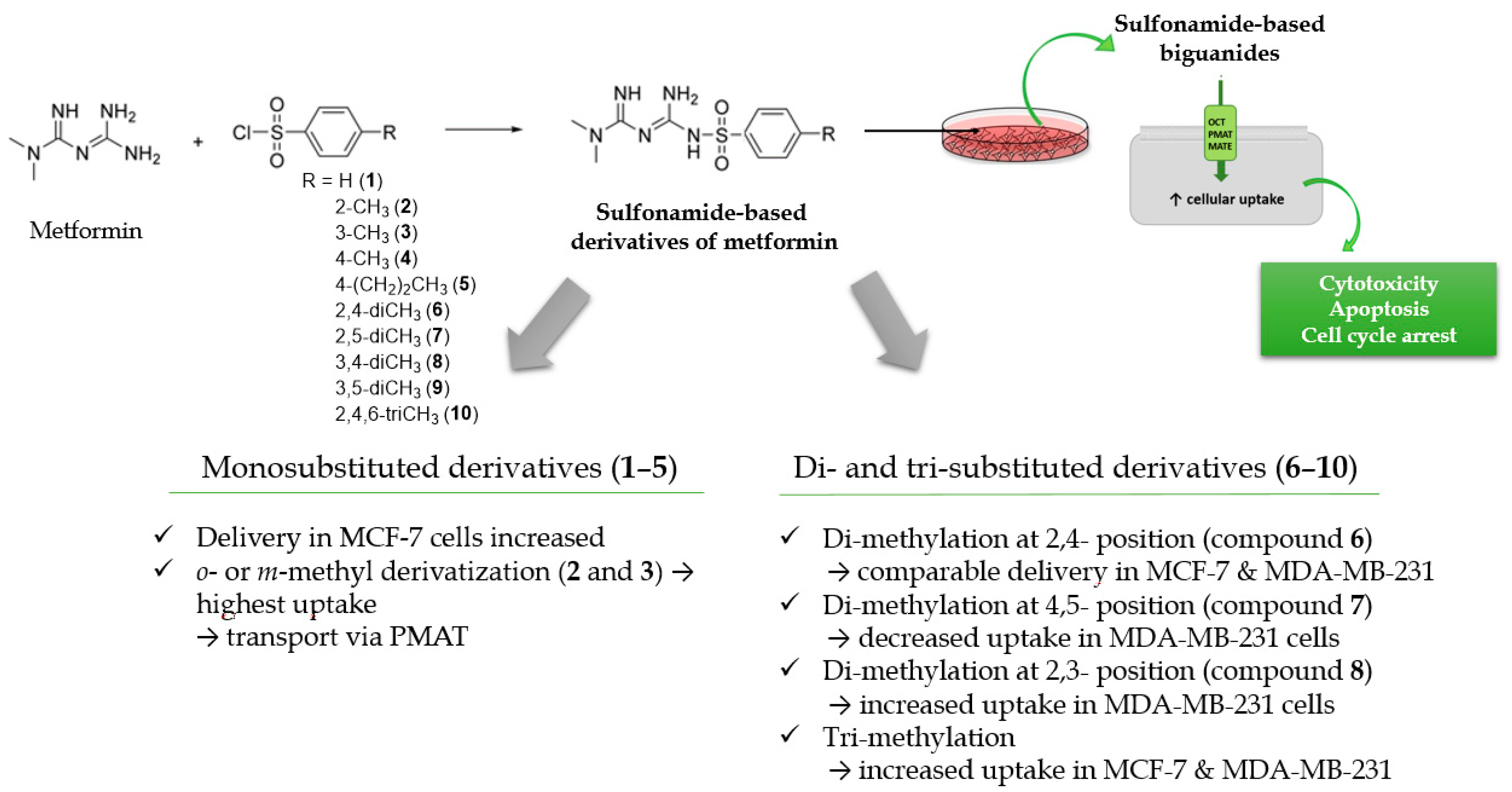 Ijms 22 05642 g004 Ijms 22 05642 g004