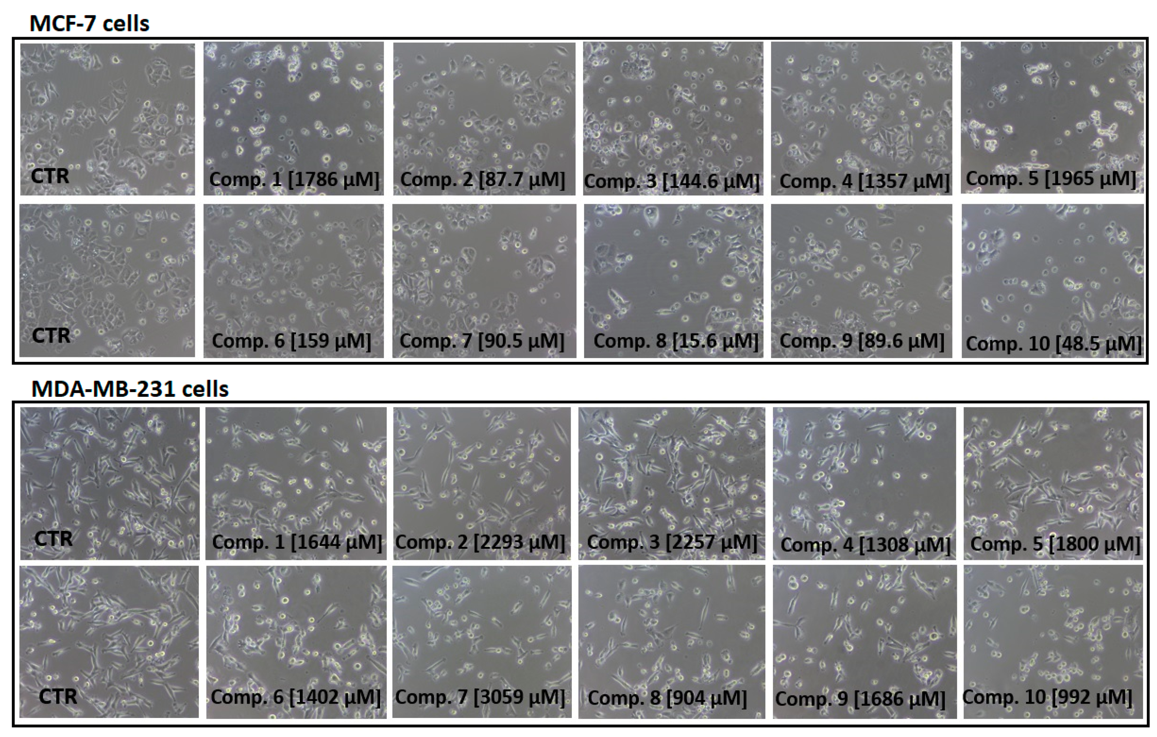 Ijms 22 05642 g005 Ijms 22 05642 g005