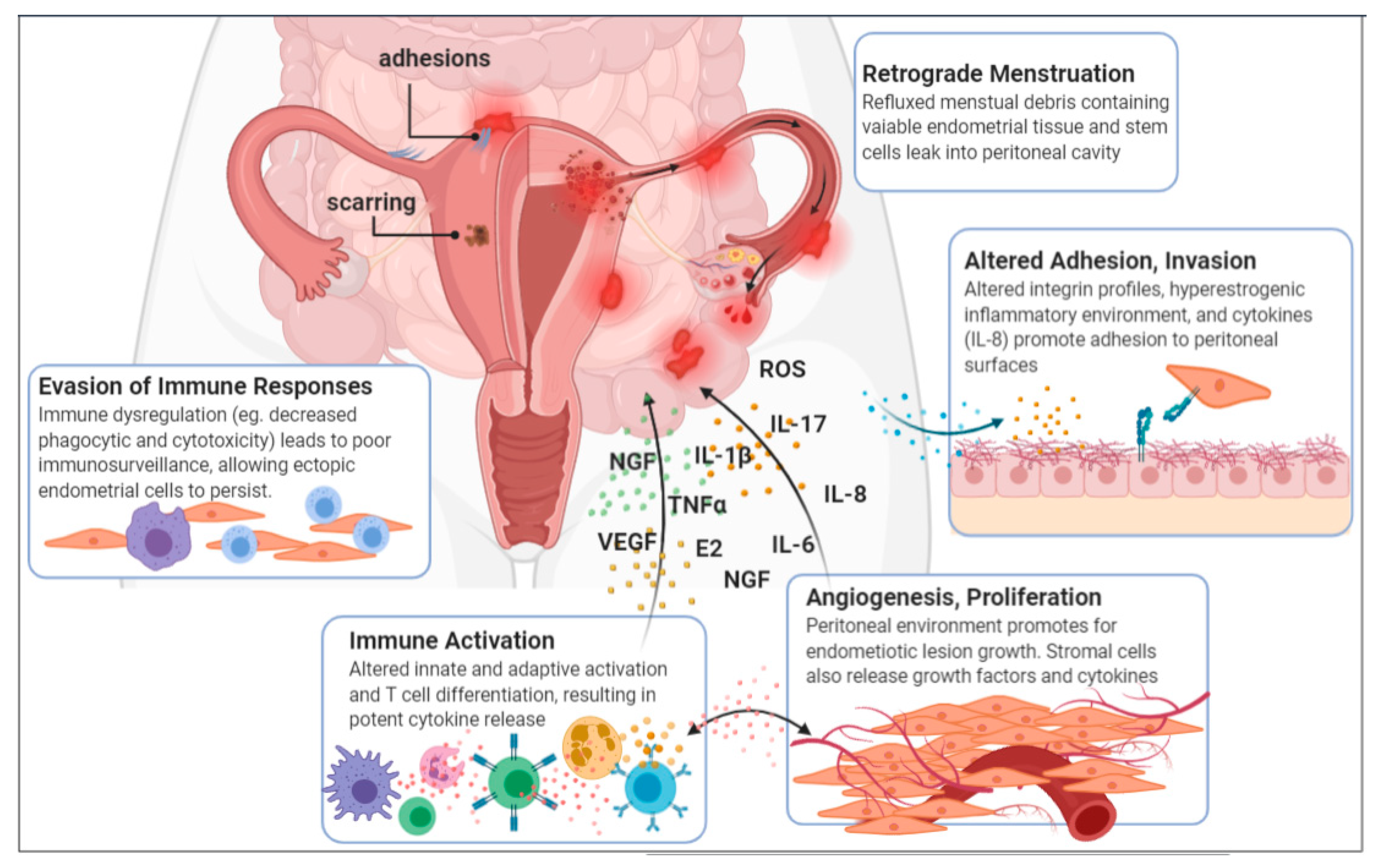 Frontiers  Interactions between microbiota and cervical