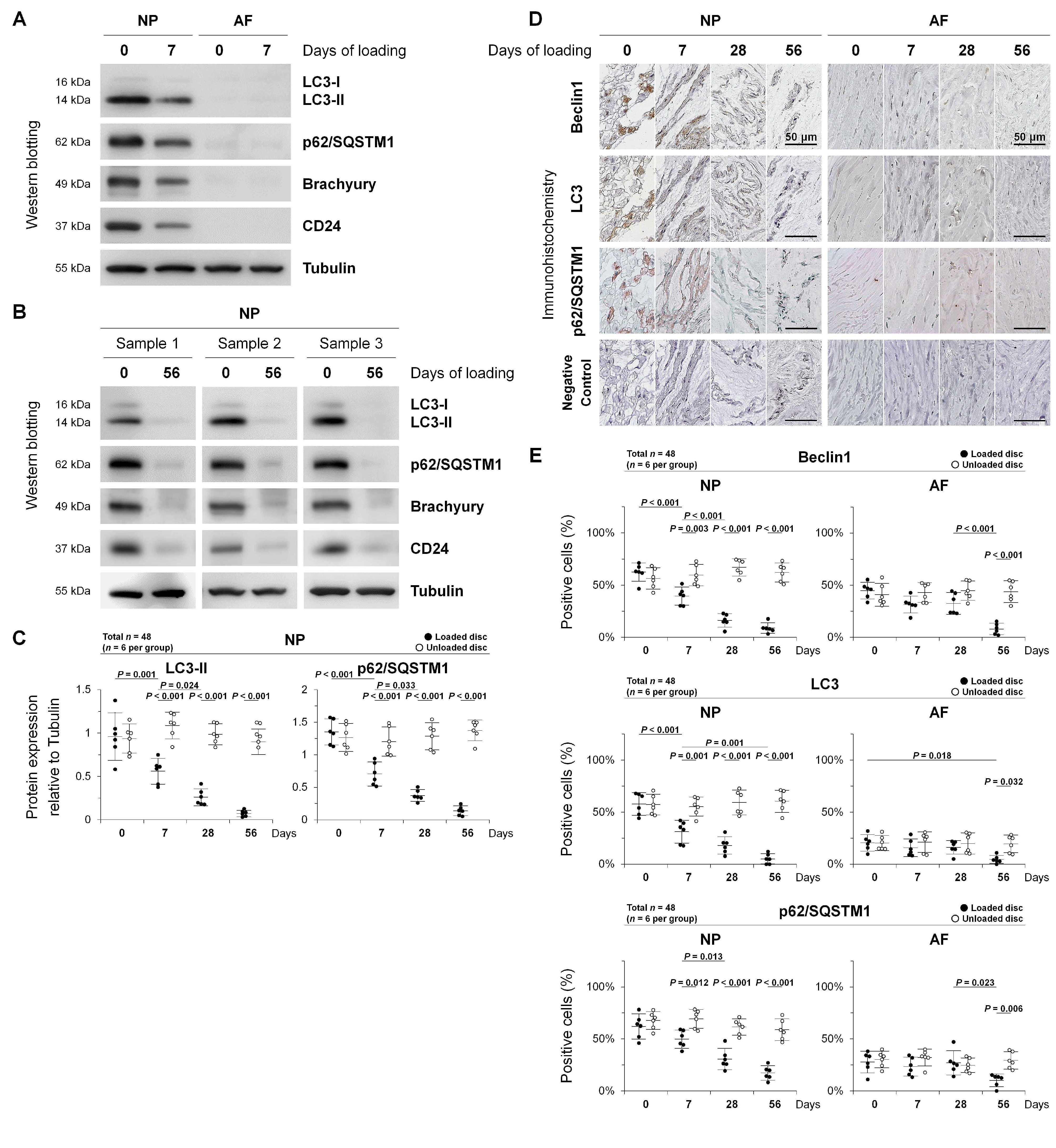 Ijms 22 05648 g003 Ijms 22 05648 g003