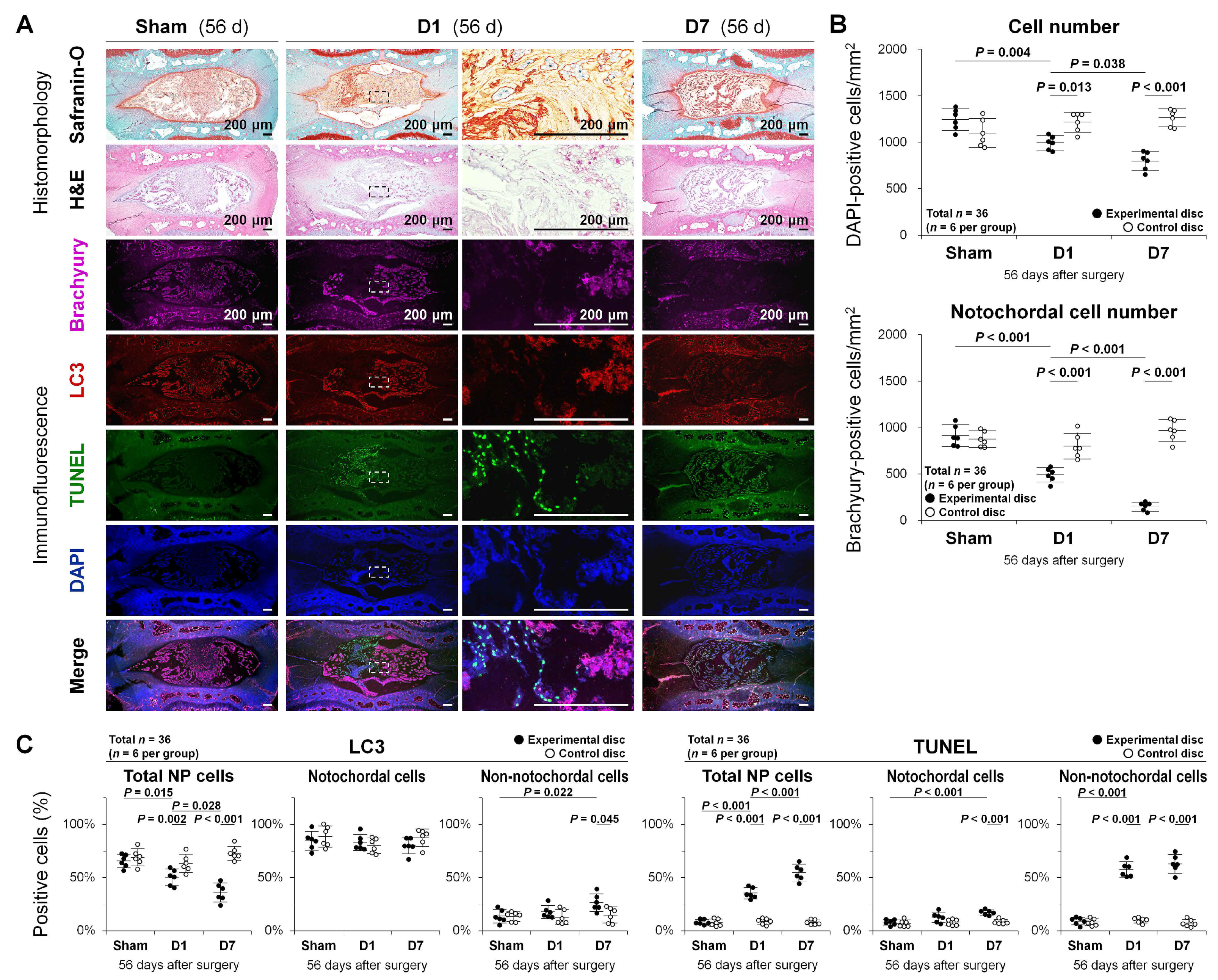 Ijms 22 05648 g004 Ijms 22 05648 g004