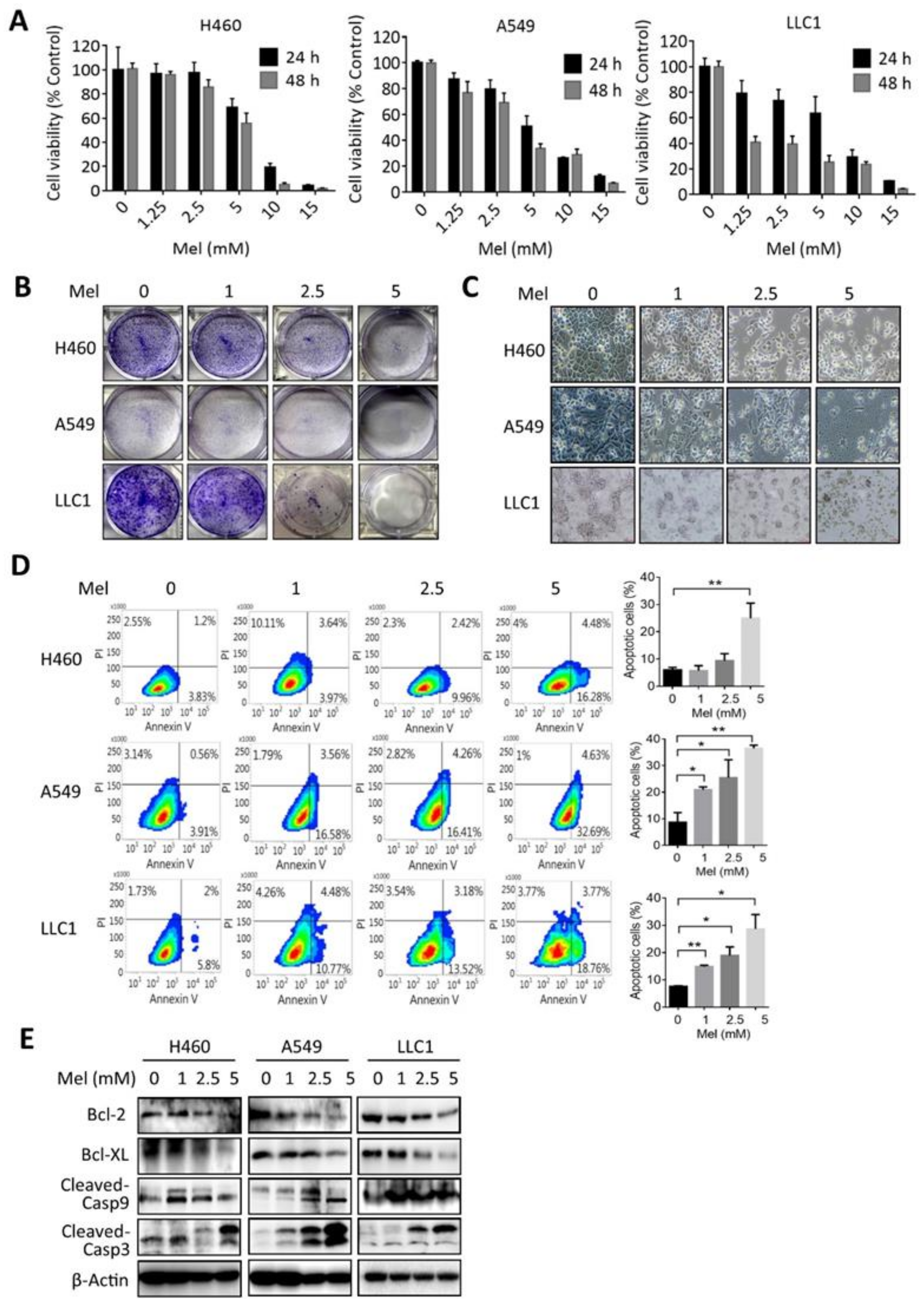 Ijms 22 05649 g001 Ijms 22 05649 g001