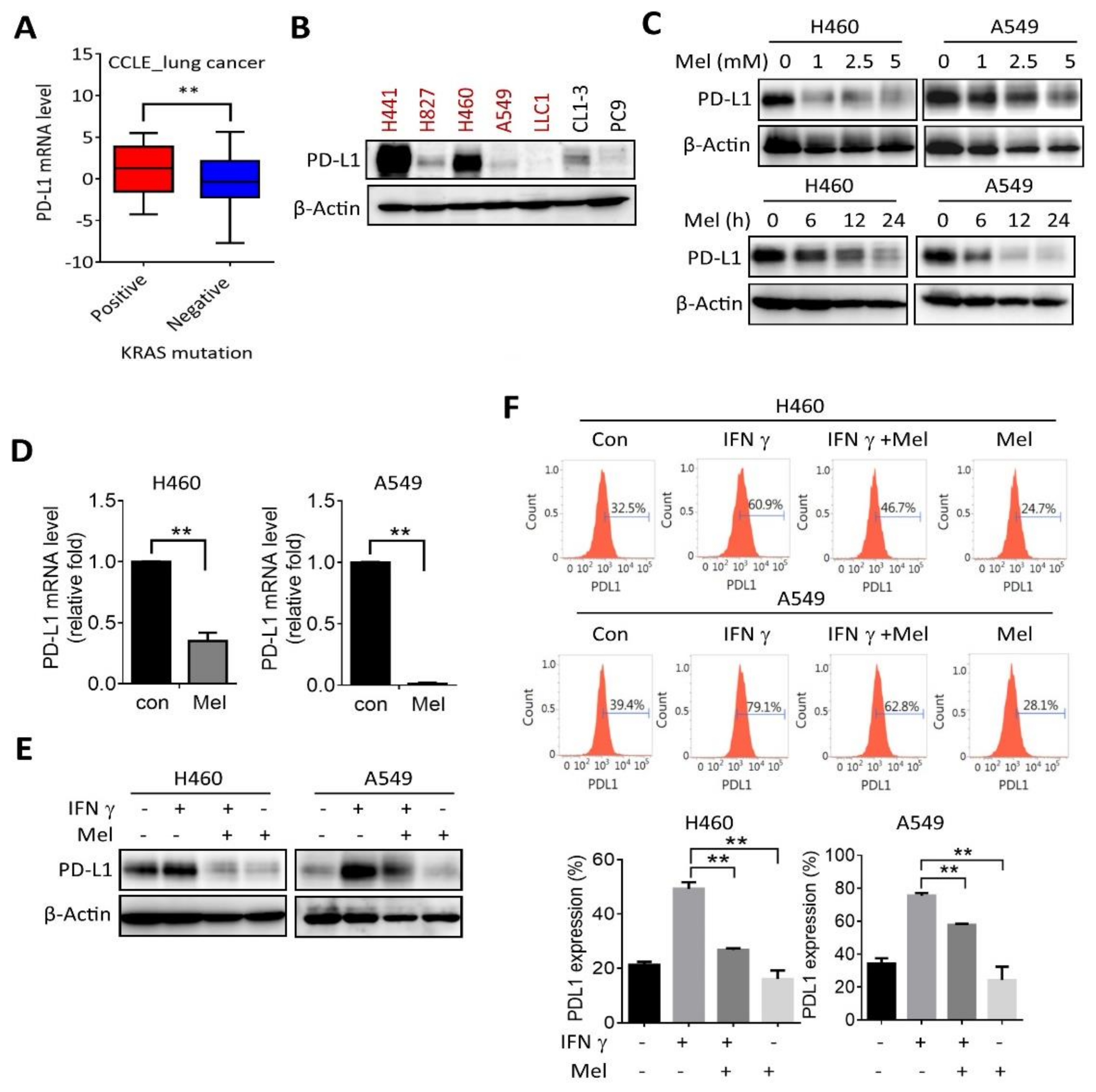Ijms 22 05649 g002 Ijms 22 05649 g002