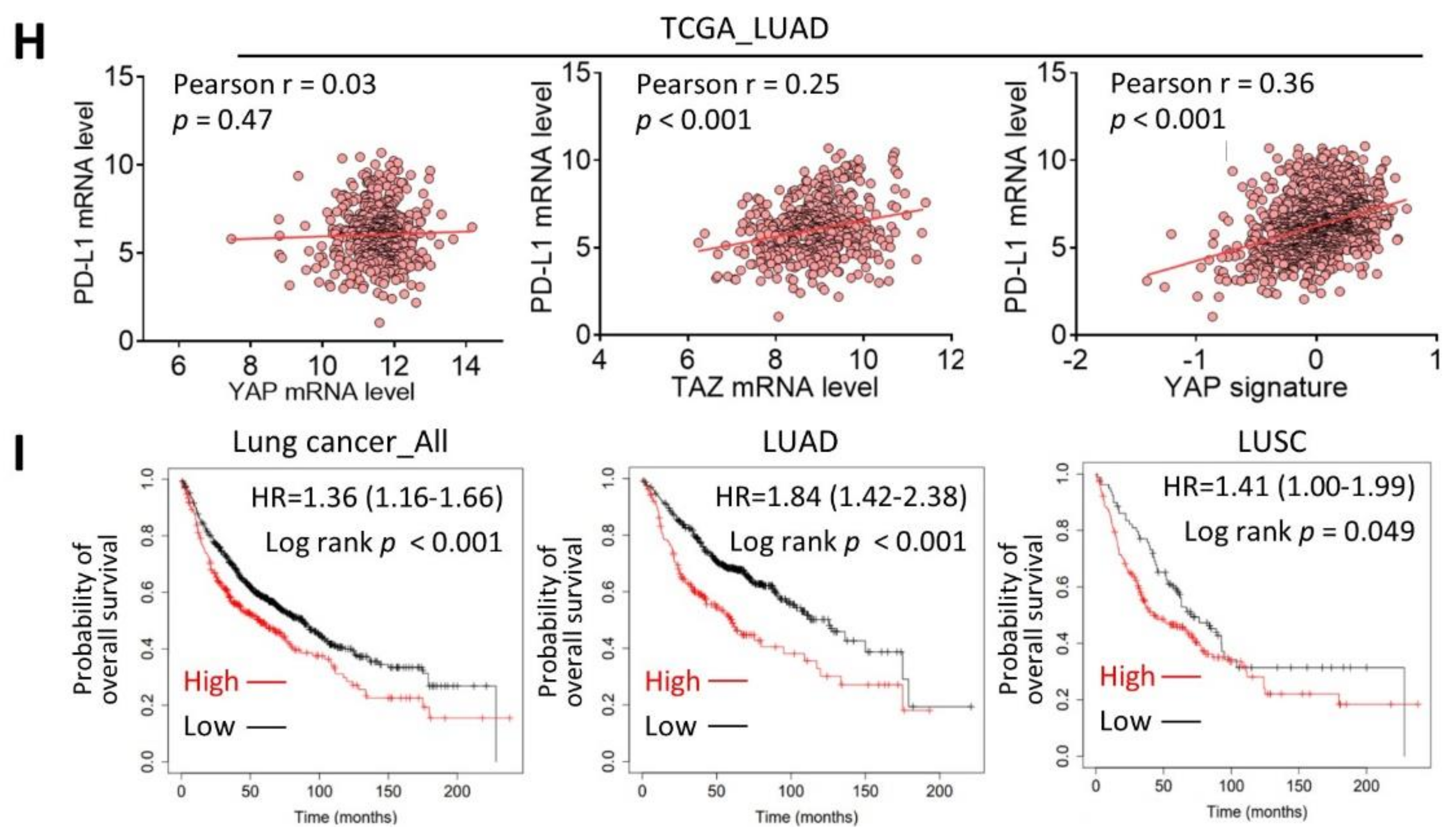 Ijms 22 05649 g003b Ijms 22 05649 g003b