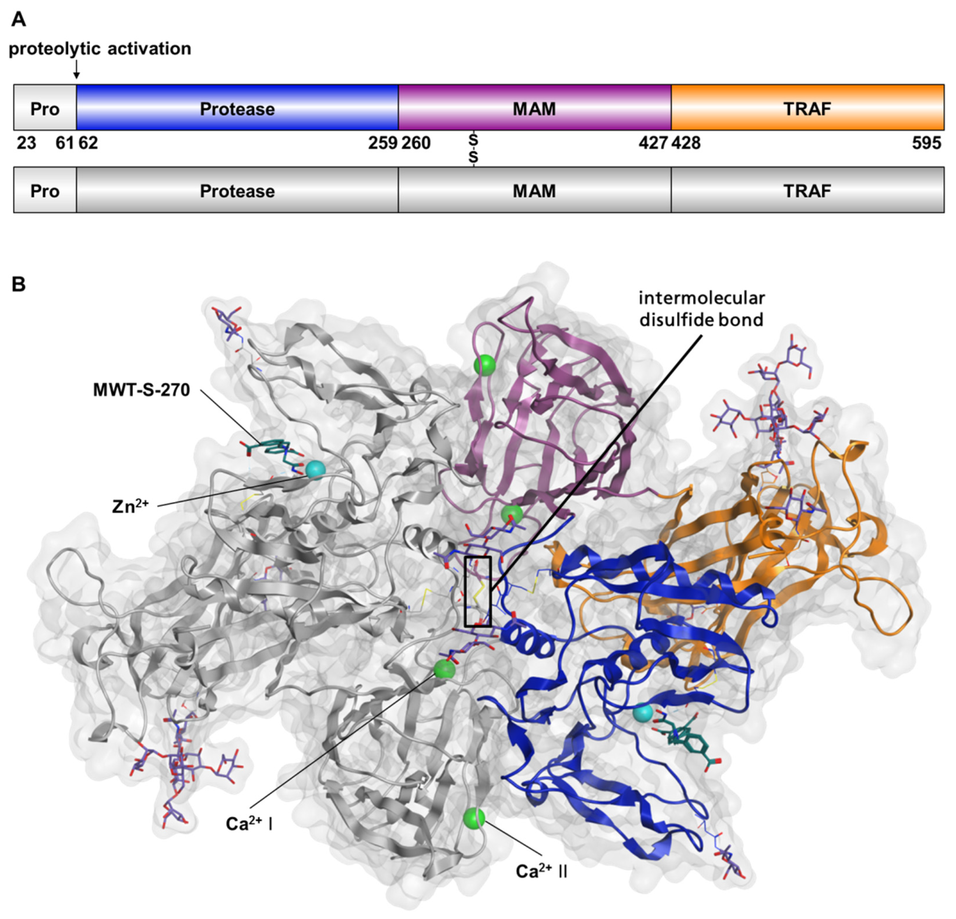 Ijms 22 05651 g001 Ijms 22 05651 g001