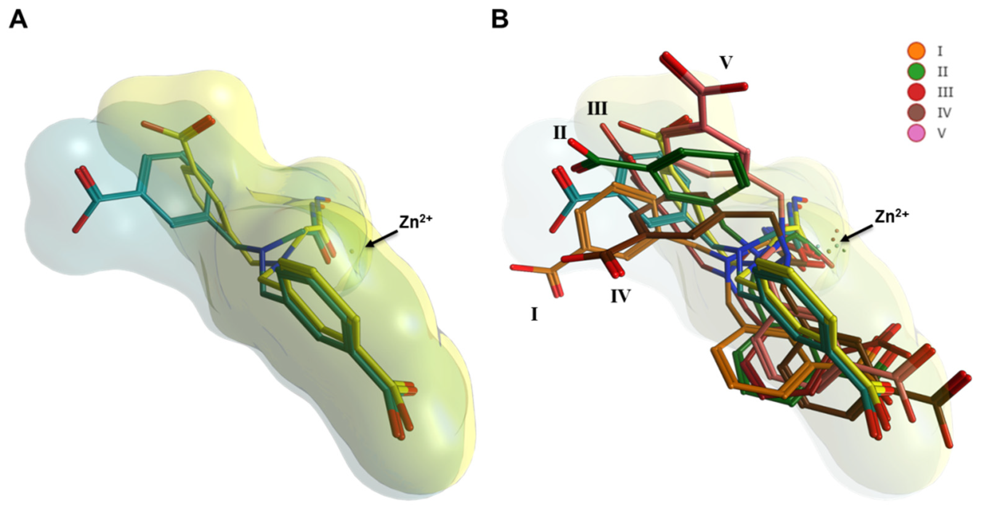Ijms 22 05651 g005 Ijms 22 05651 g005