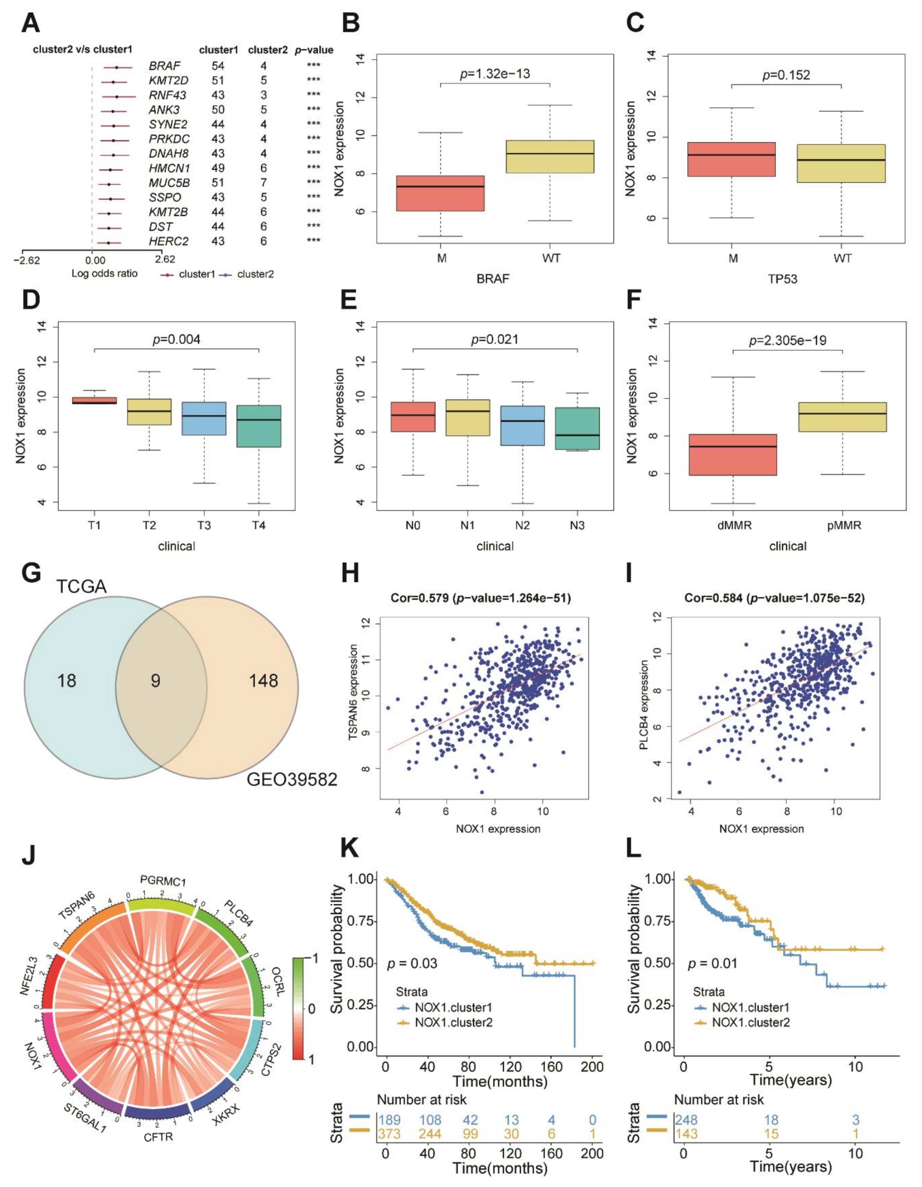 Ijms 22 05652 g004 Ijms 22 05652 g004