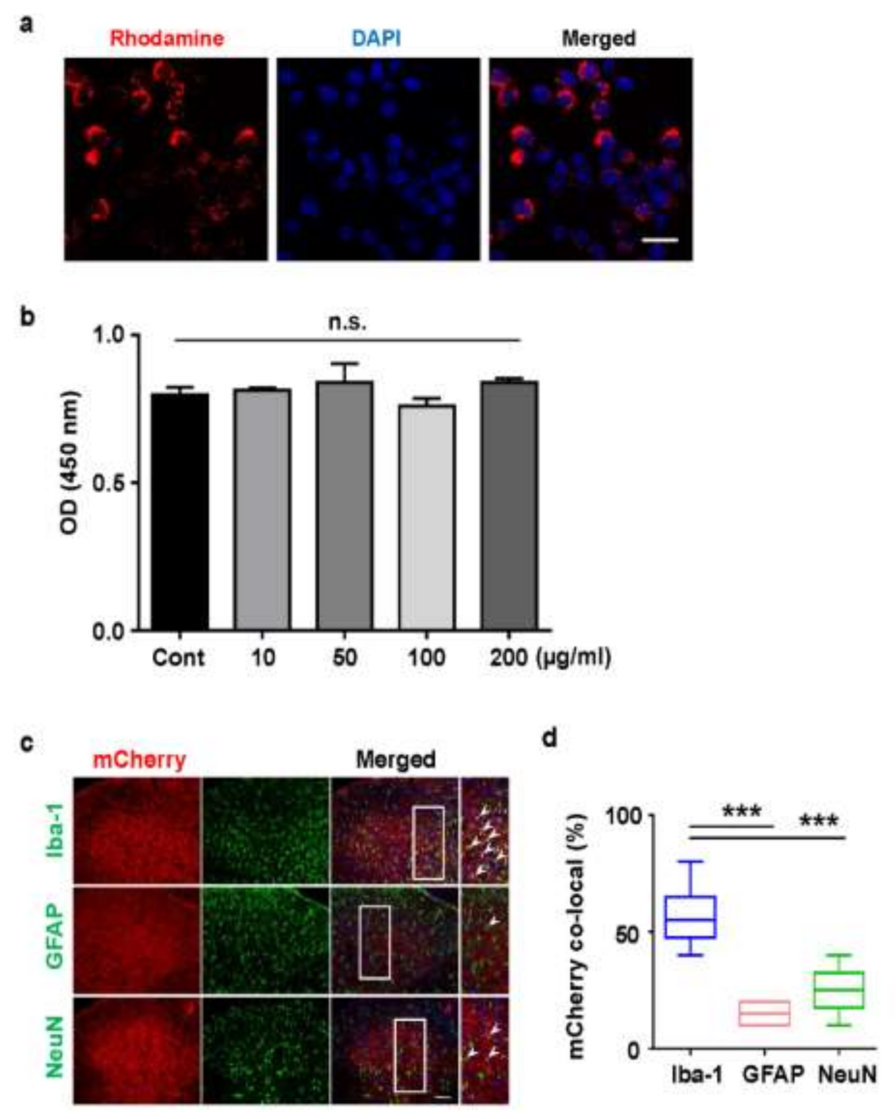 Ijms 22 05657 g003 Ijms 22 05657 g003