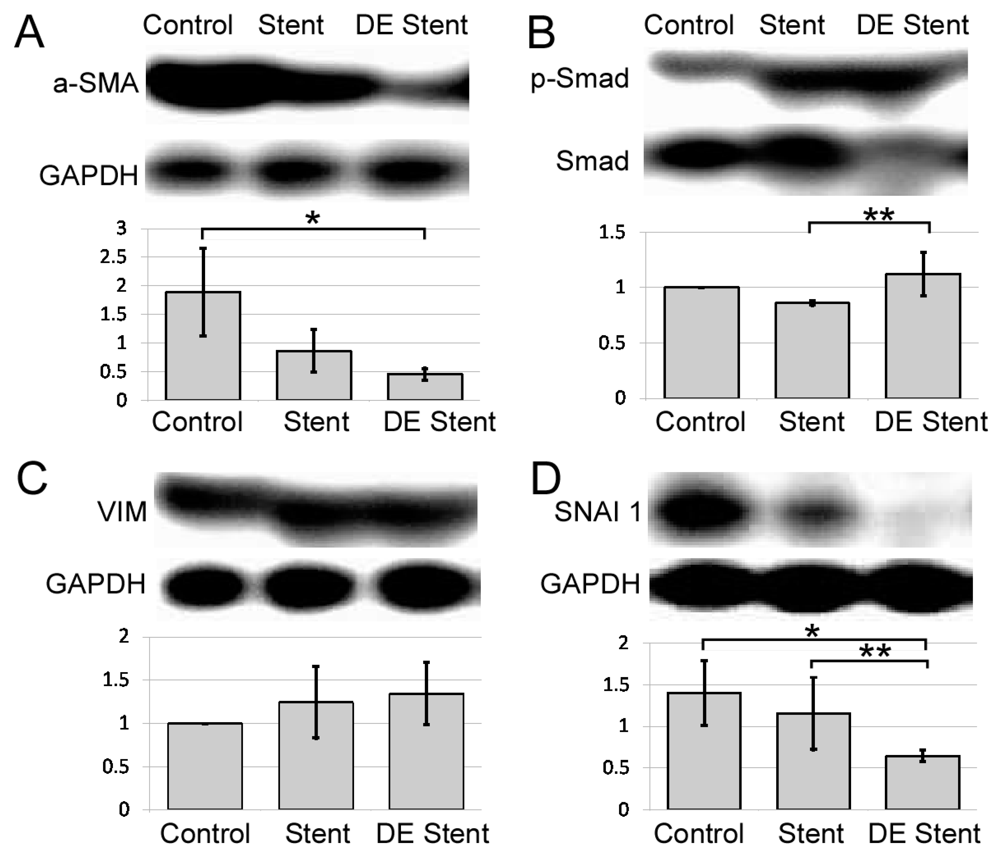 Ijms 22 05664 g006 Ijms 22 05664 g006