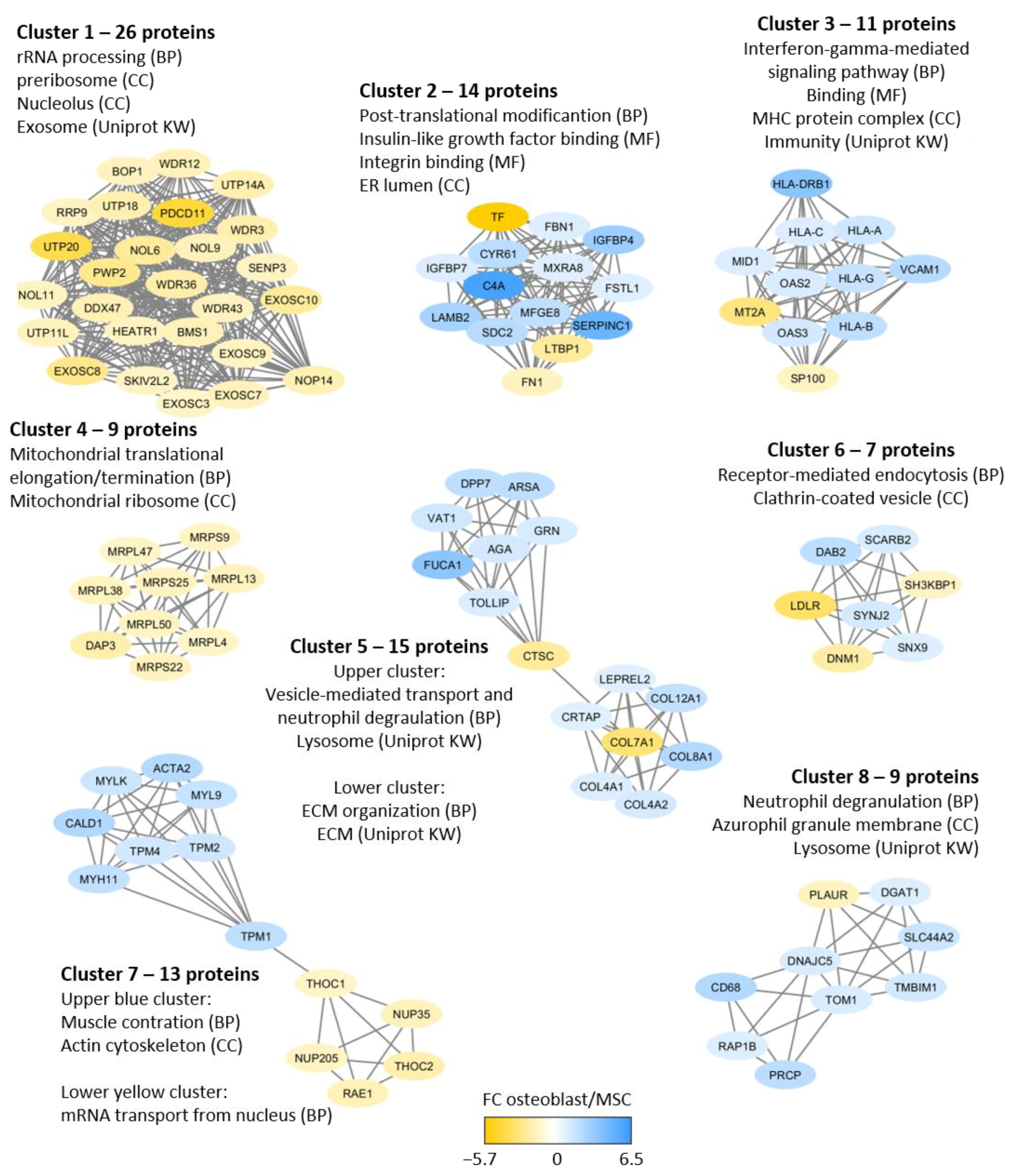 Ijms 22 05665 g004 Ijms 22 05665 g004