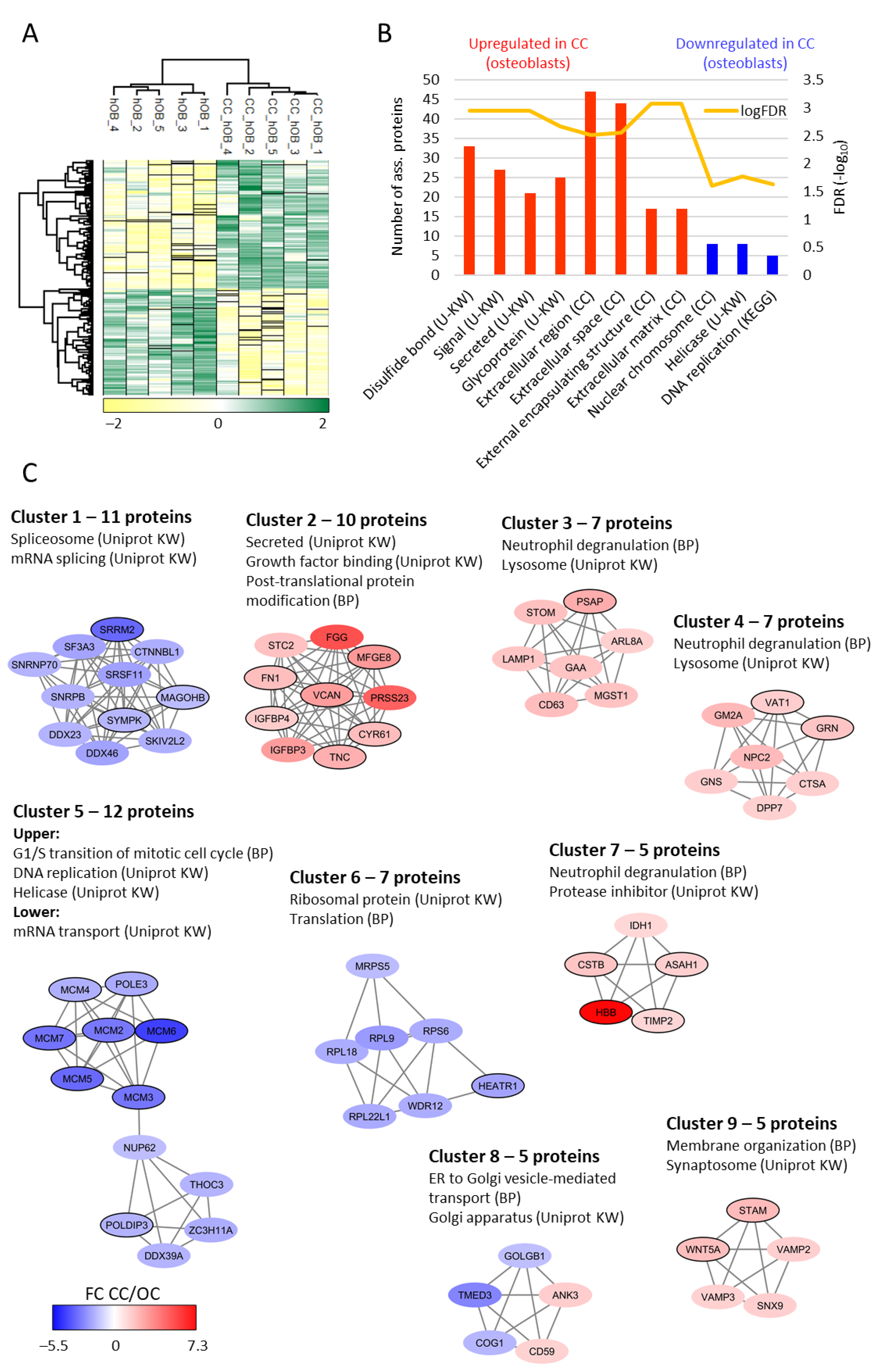 Ijms 22 05665 g005 Ijms 22 05665 g005