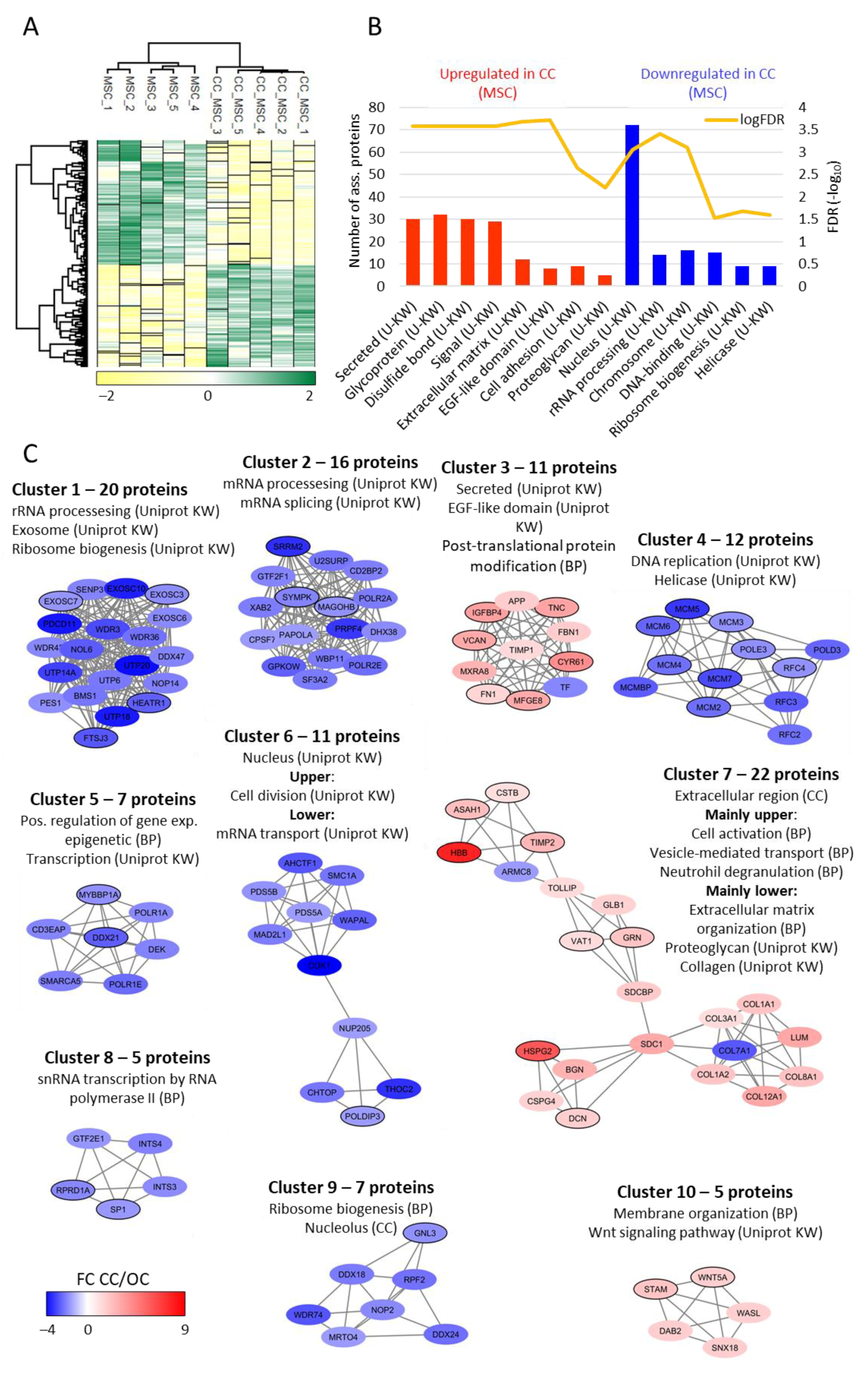 Ijms 22 05665 g006 Ijms 22 05665 g006