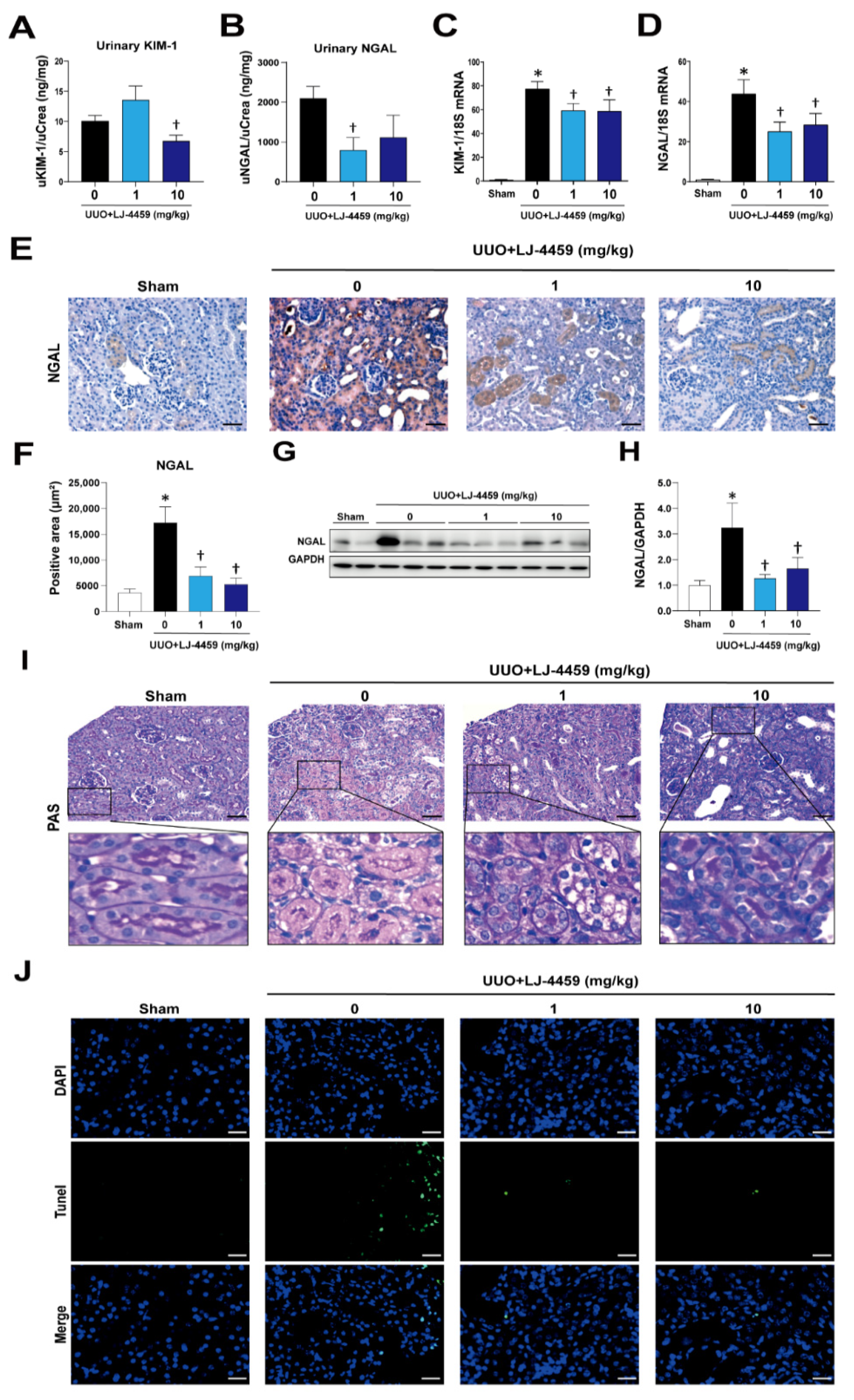 Ijms 22 05667 g002 Ijms 22 05667 g002