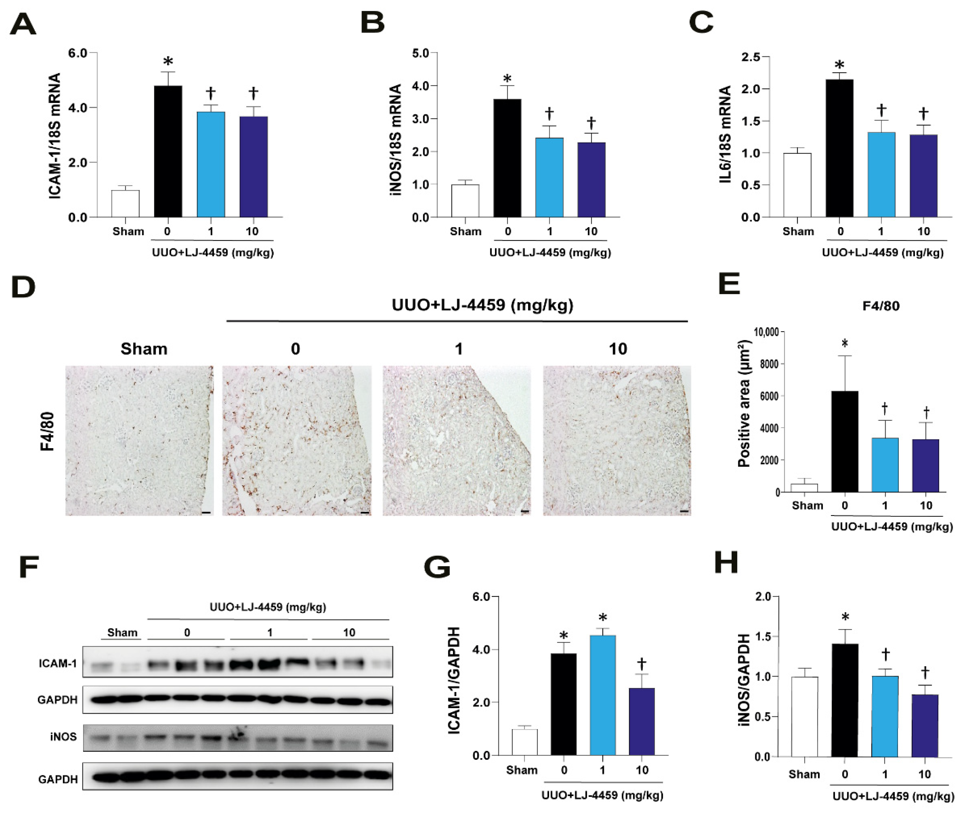 Ijms 22 05667 g003 Ijms 22 05667 g003