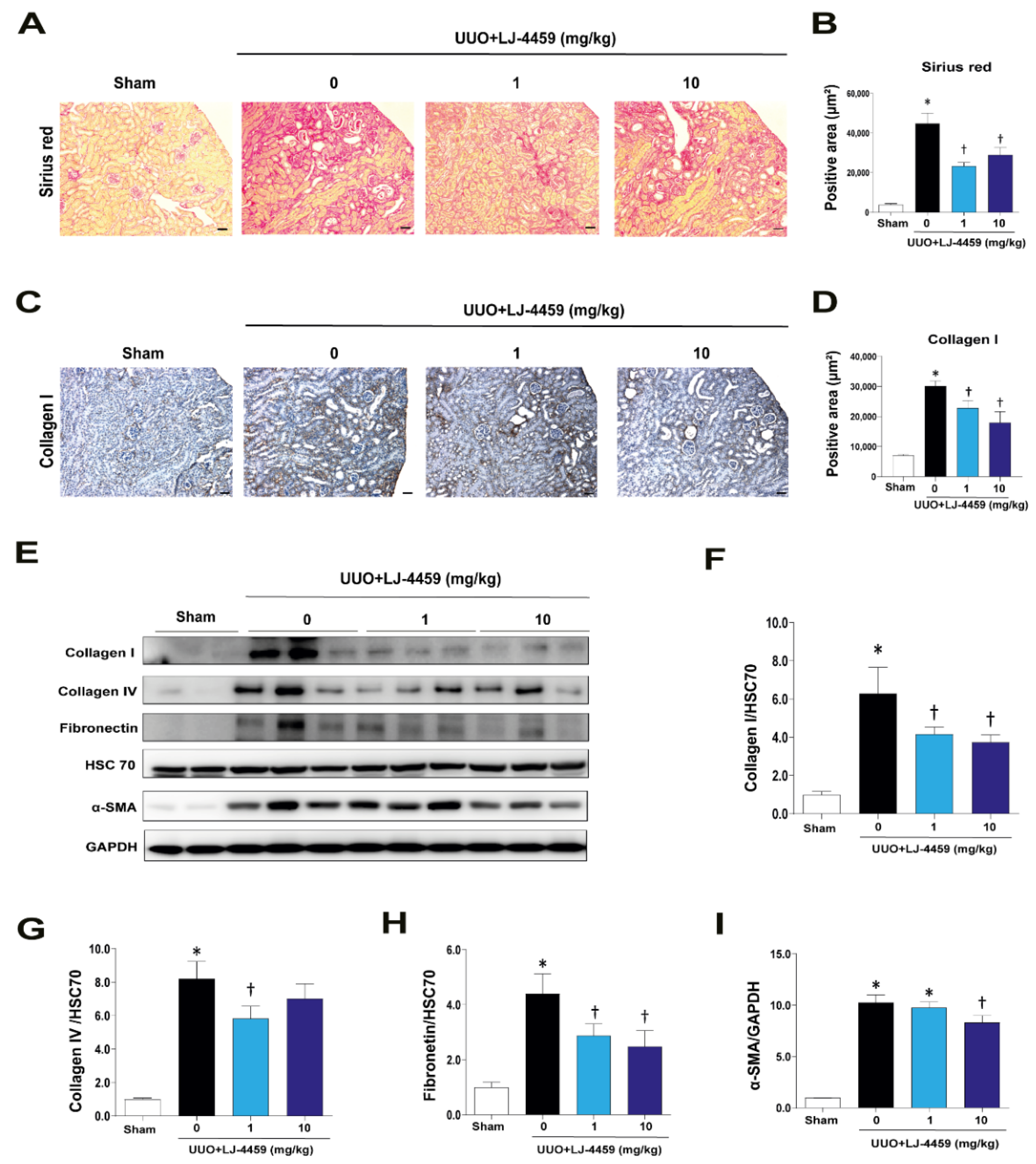 Ijms 22 05667 g004 Ijms 22 05667 g004
