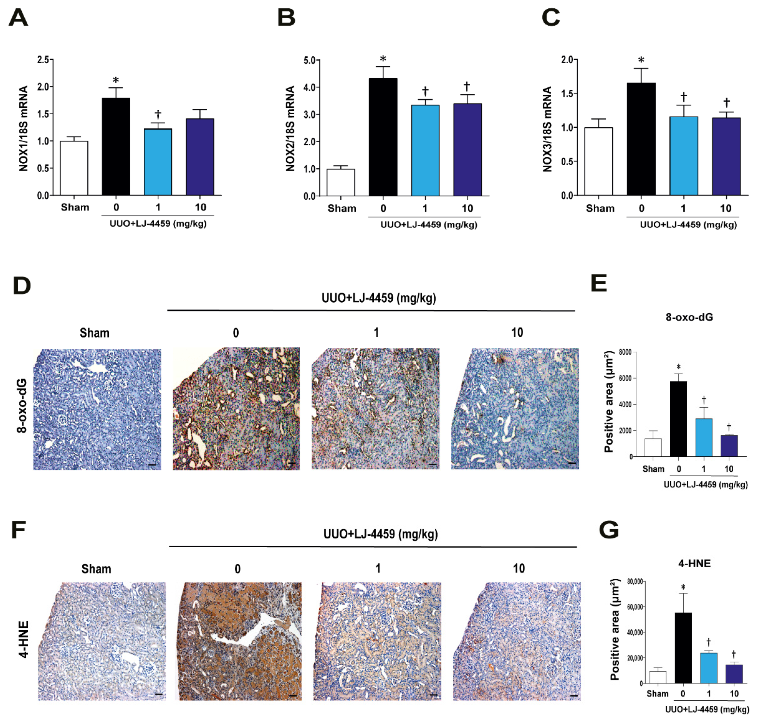 Ijms 22 05667 g005 Ijms 22 05667 g005