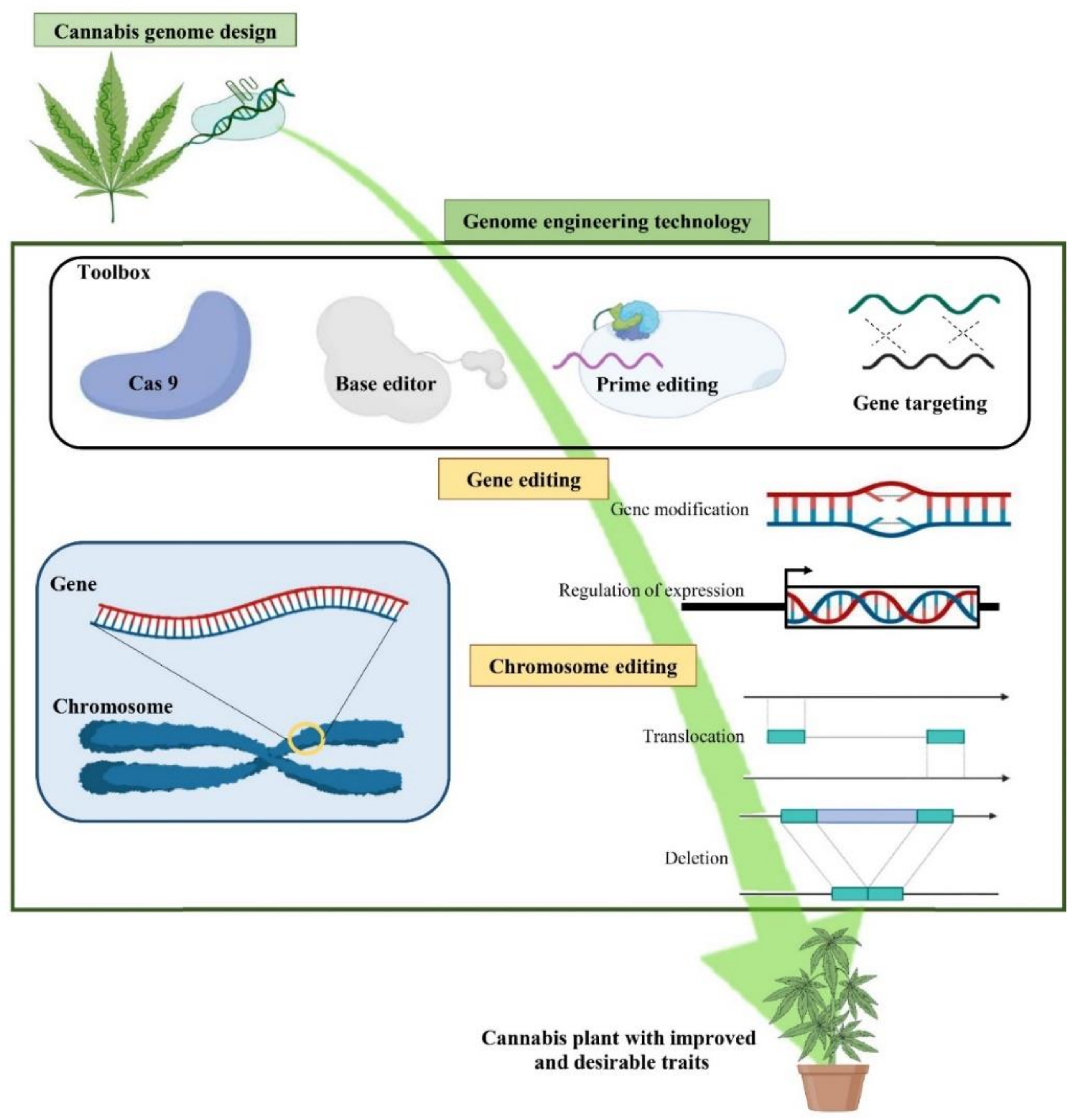 Carbon capture and storage (CCS): the way forward - Energy & Environmental  Science (RSC Publishing) DOI:10.1039/C7EE02342A
