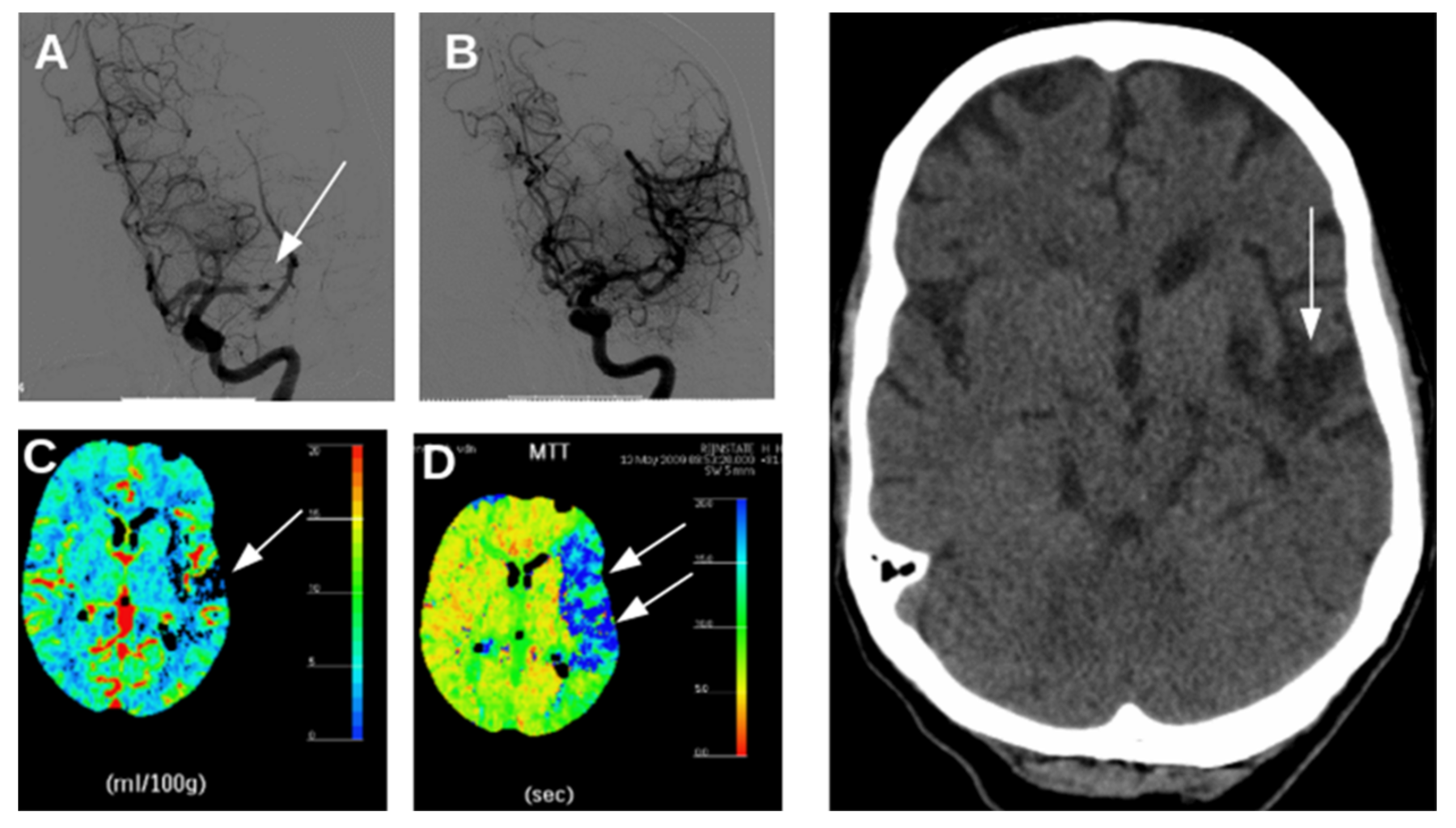 Ijms 22 05679 g001 Ijms 22 05679 g001