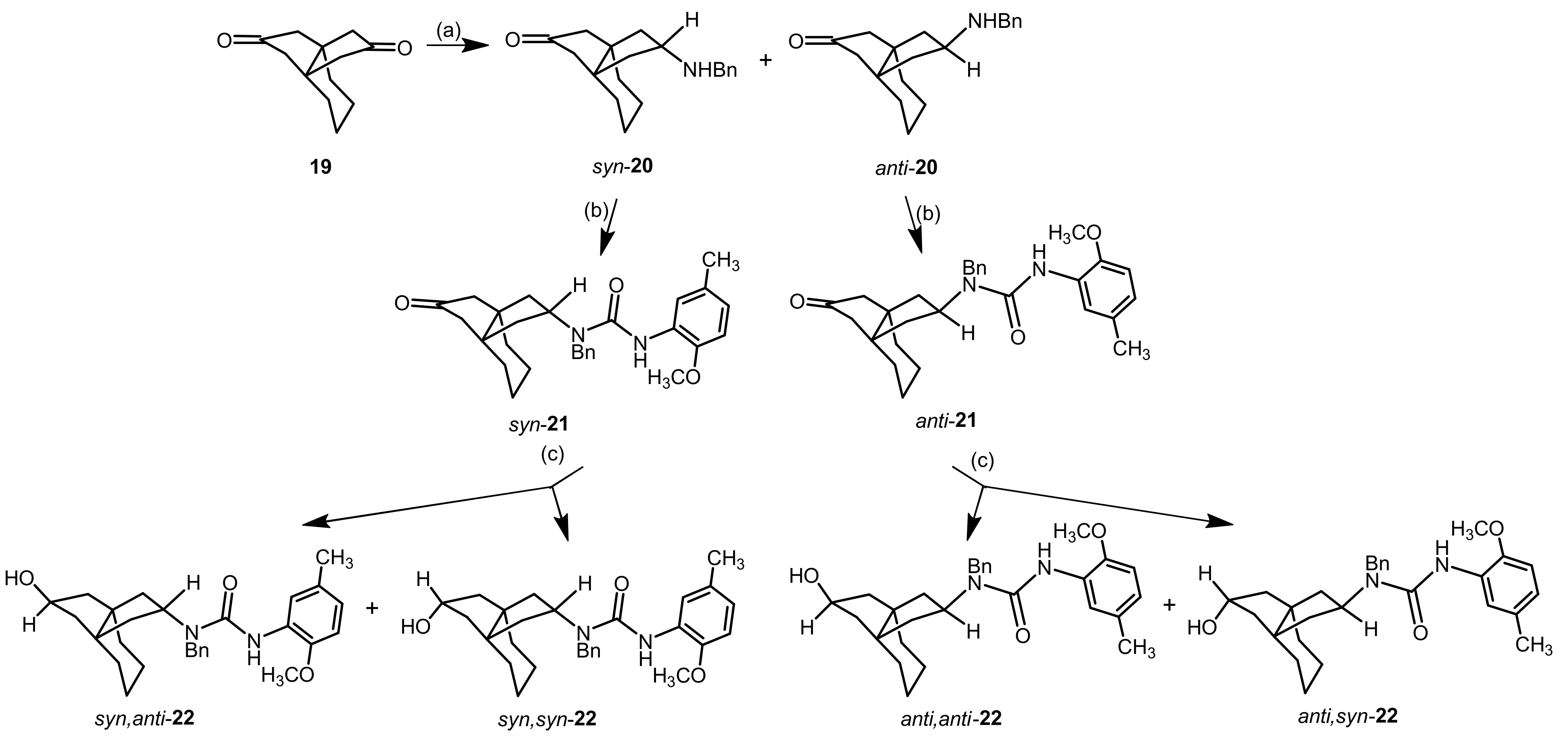 Ijms 22 05685 sch003