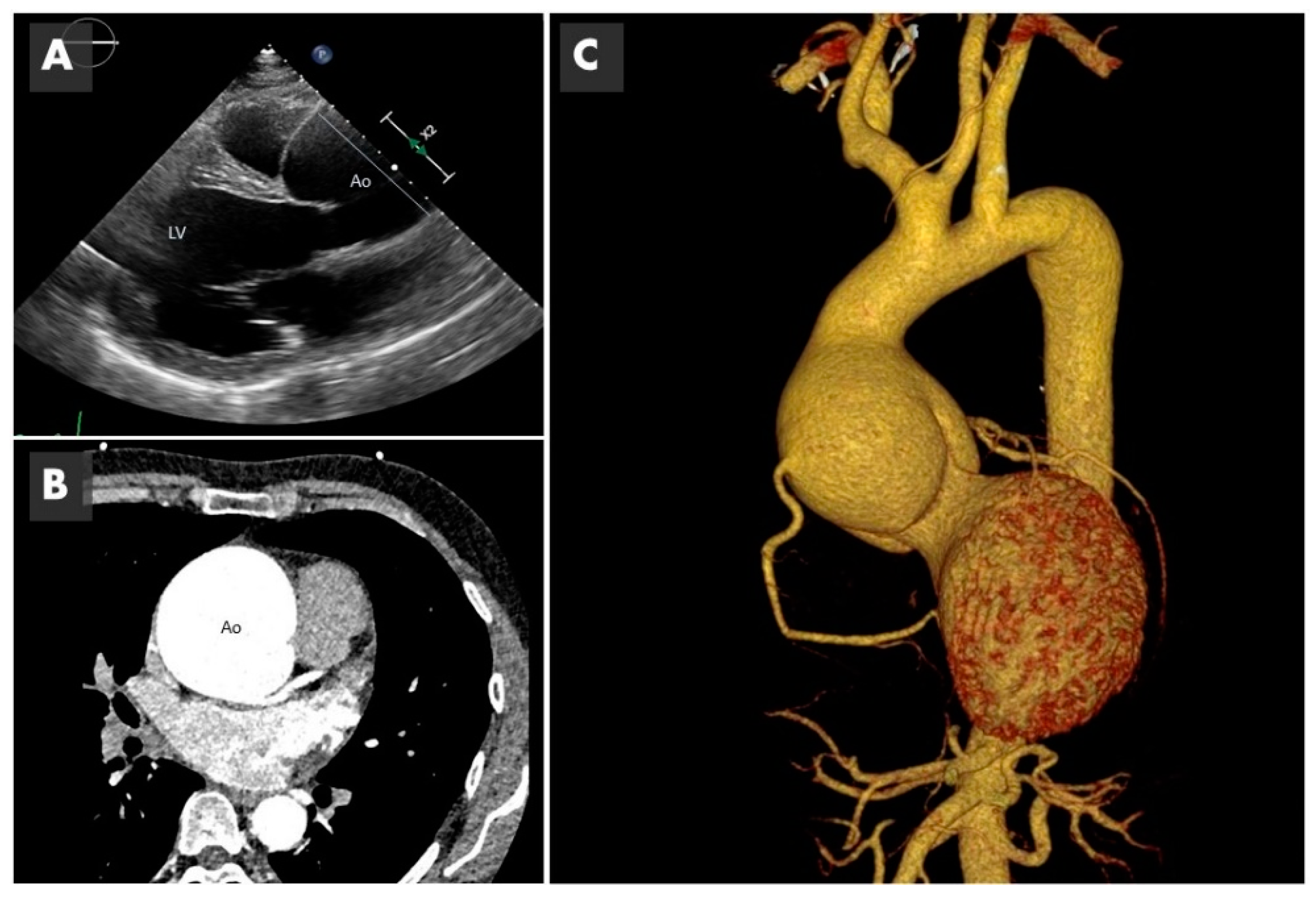 Ijms 22 05694 g002 Ijms 22 05694 g002