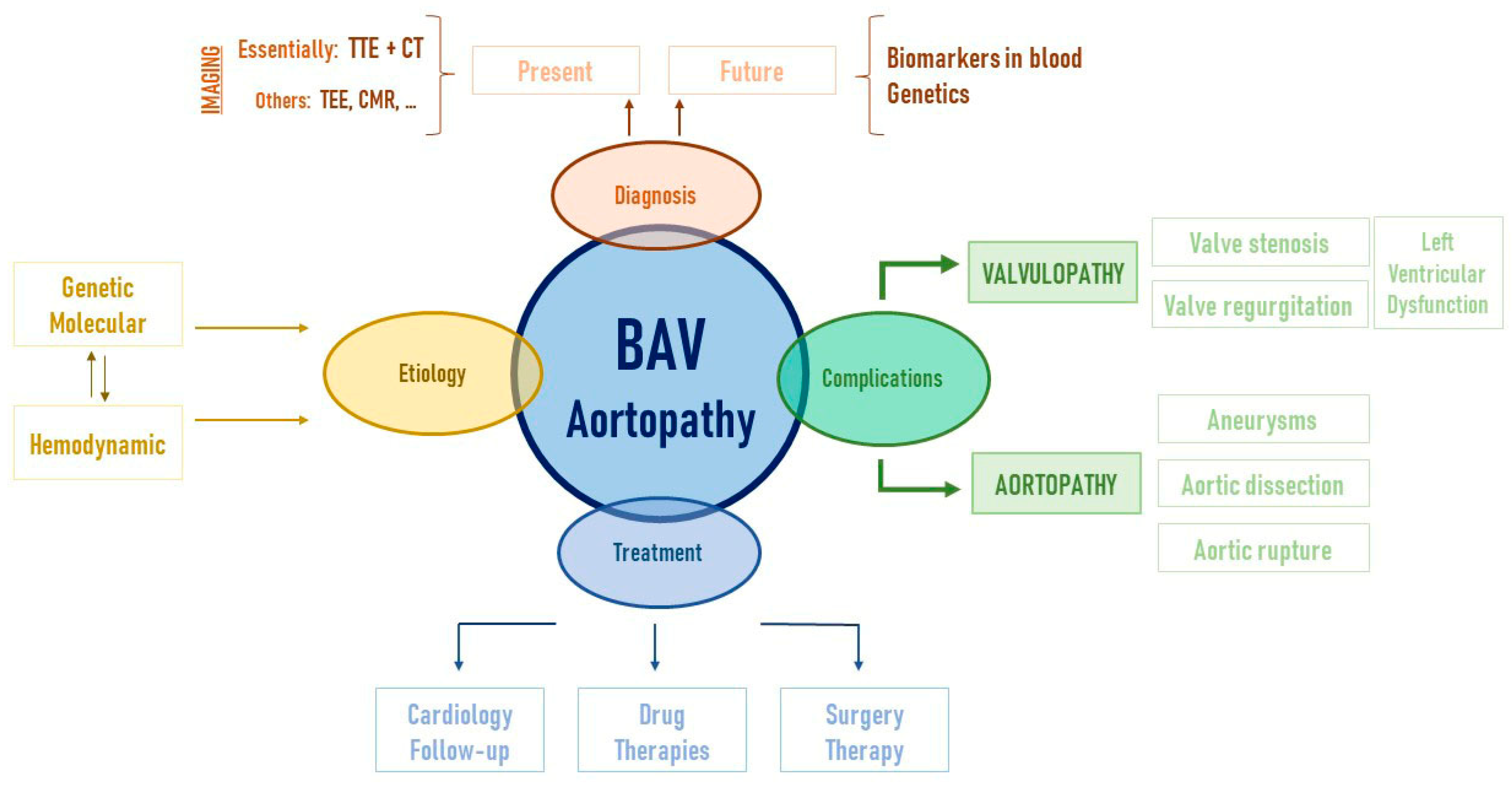 Ijms 22 05694 g003 Ijms 22 05694 g003