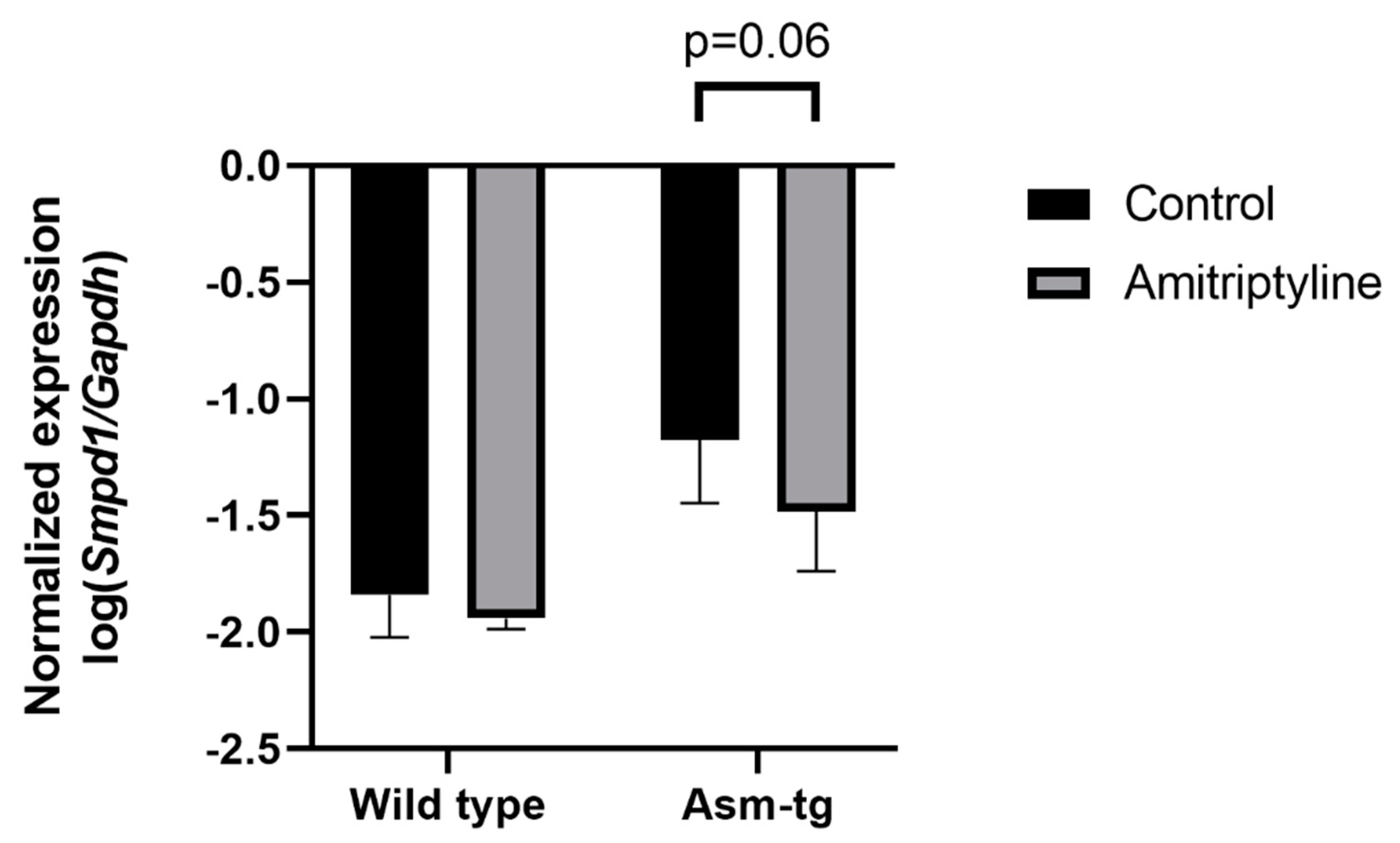 Ijms 22 05700 g002 Ijms 22 05700 g002