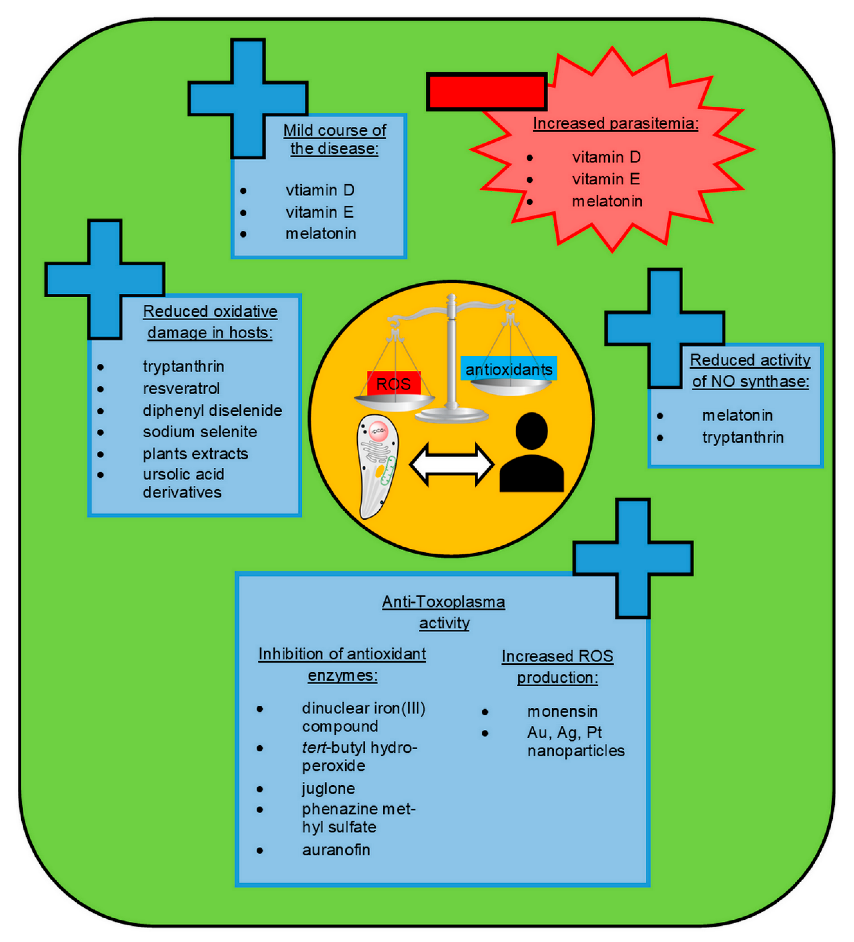 Ijms 22 05705 g002 Ijms 22 05705 g002