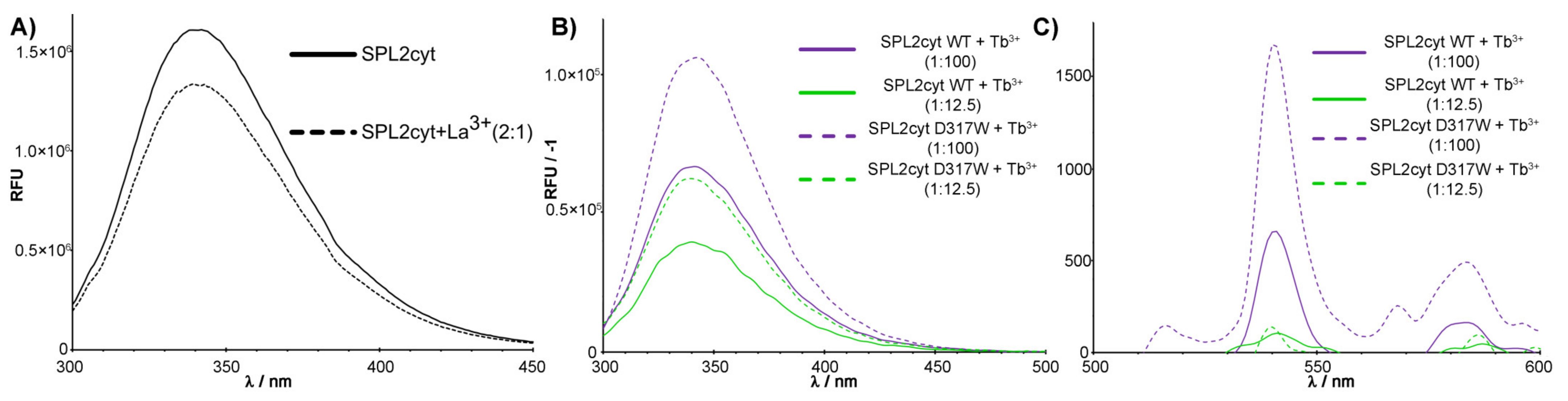 Ijms 22 05712 g002 Ijms 22 05712 g002