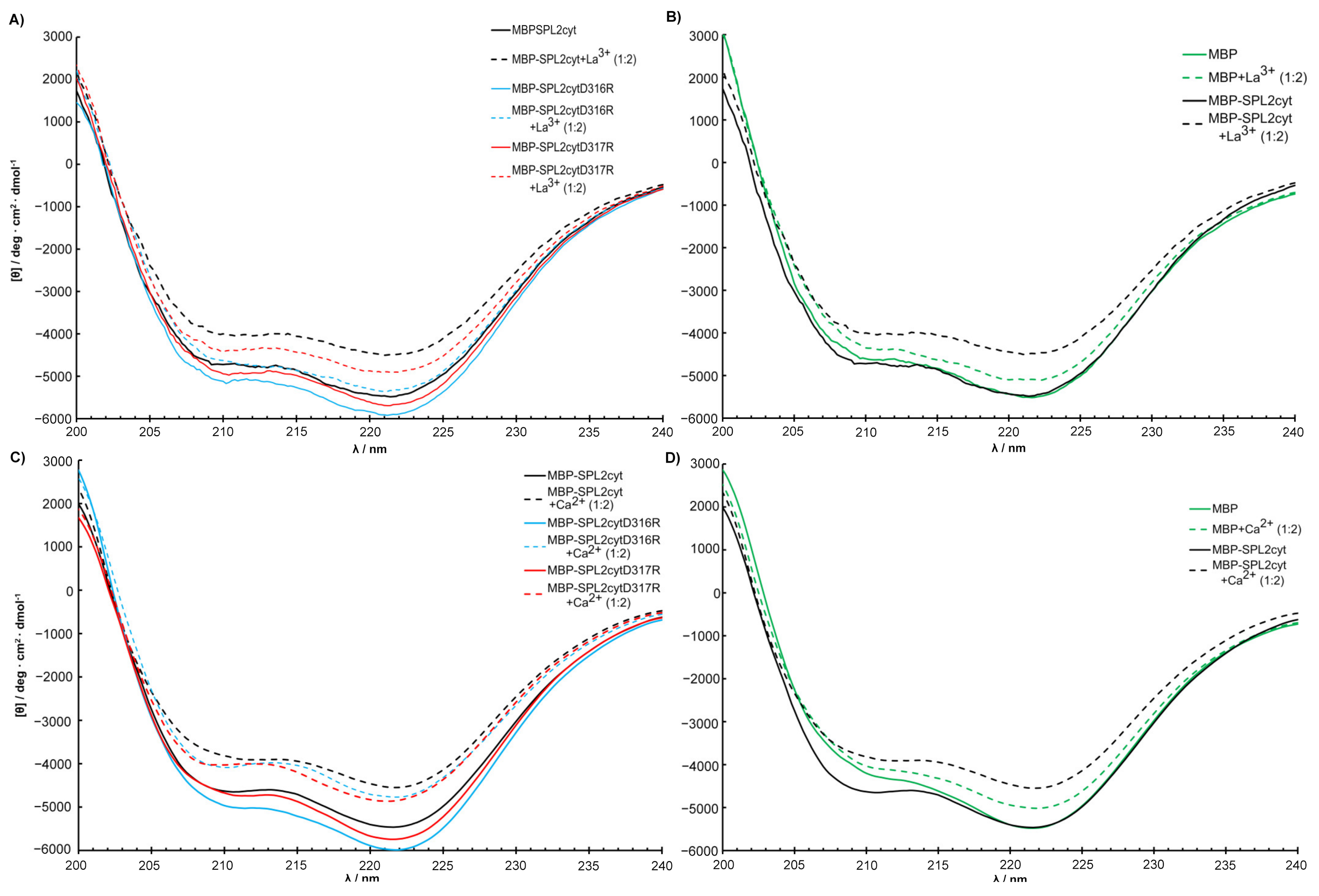 Ijms 22 05712 g005 Ijms 22 05712 g005