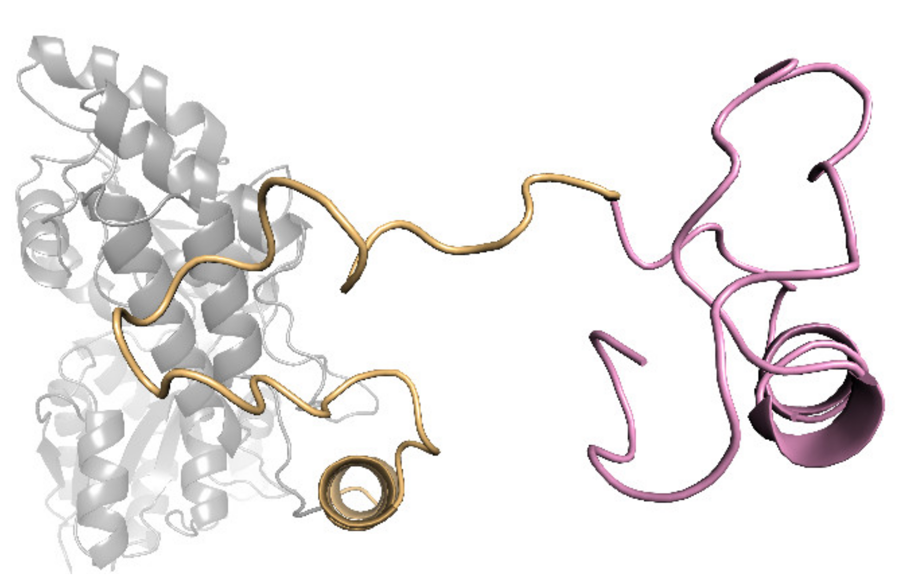 Ijms 22 05712 g0a1 Ijms 22 05712 g0a1